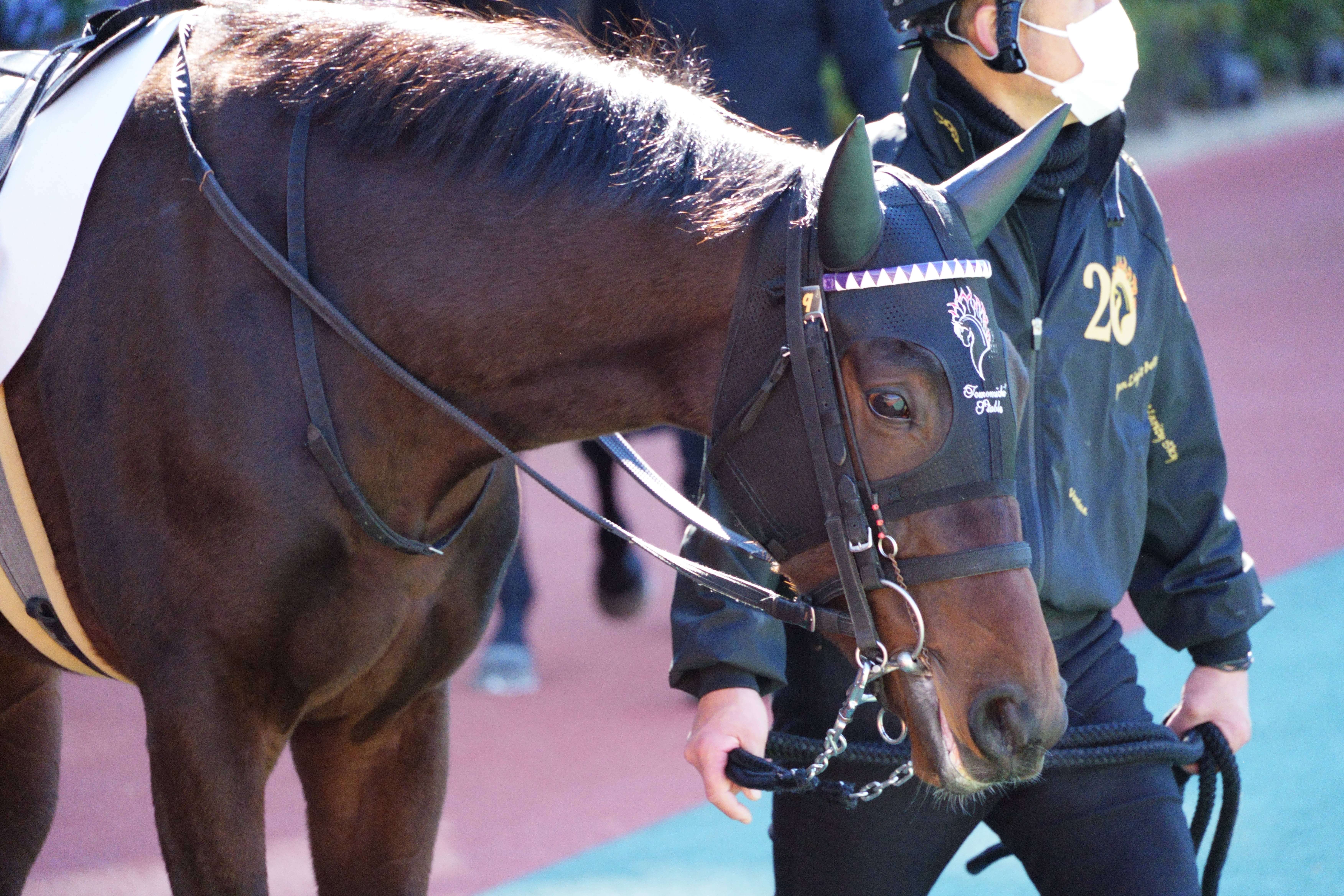 オフザチェイン