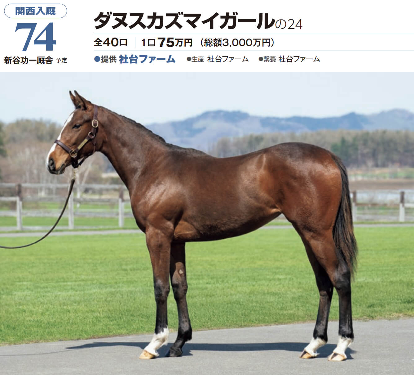 ダヌスカズマイガールの24