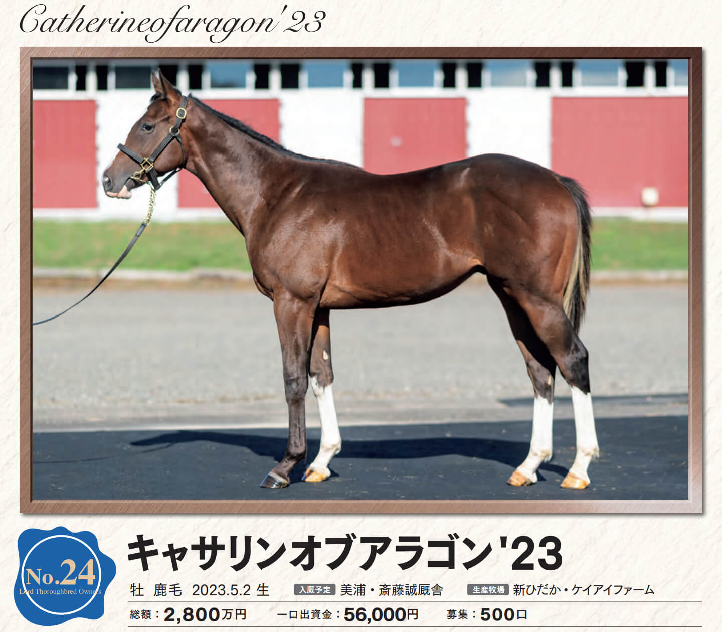 キャサリンオブアラゴンの23