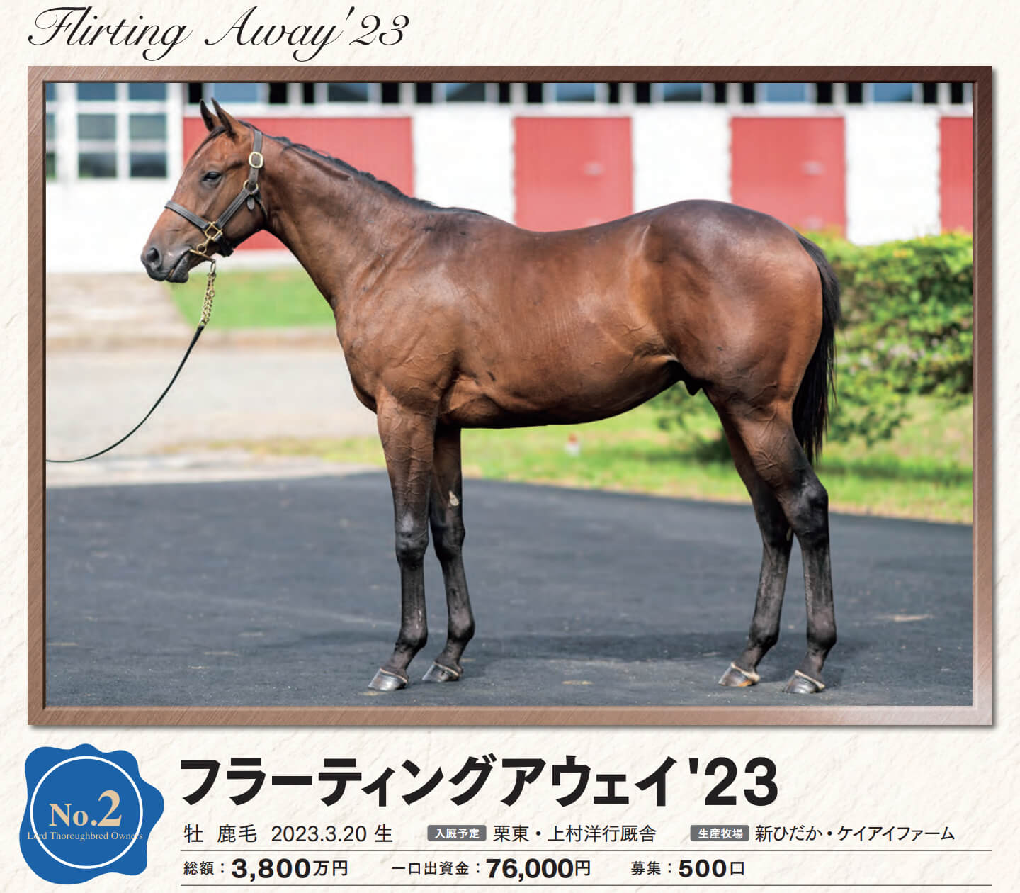 フラーティングアウェイの23