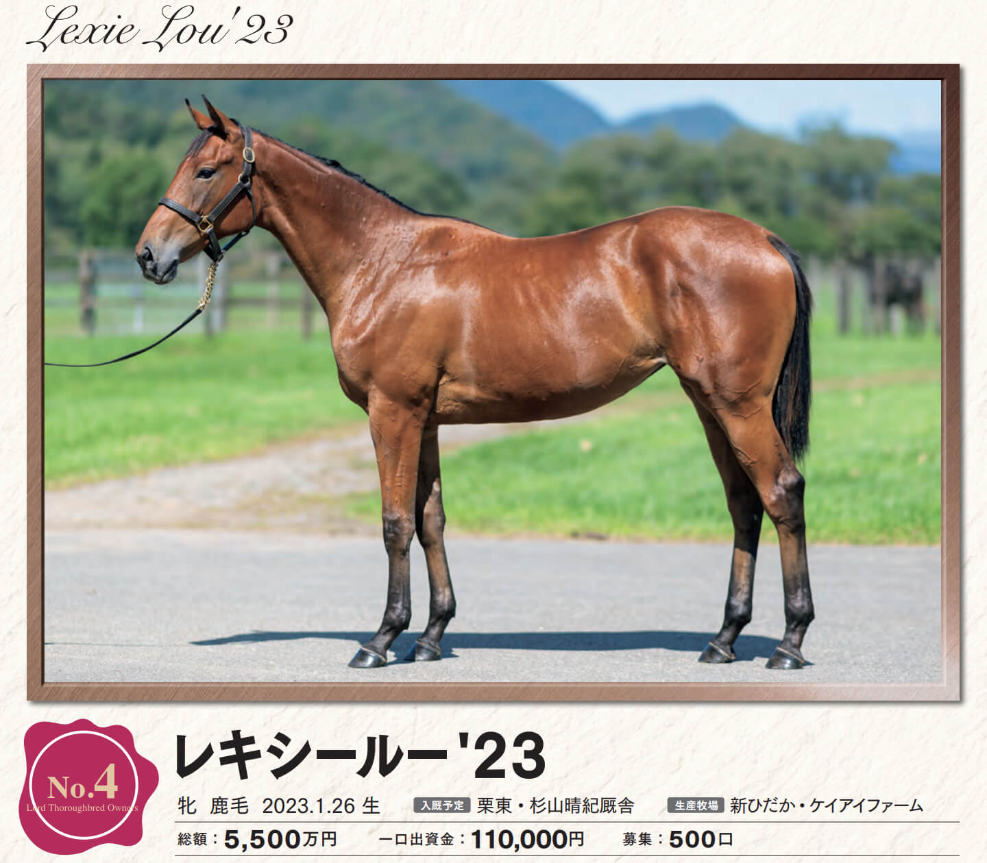レキシールーの23
