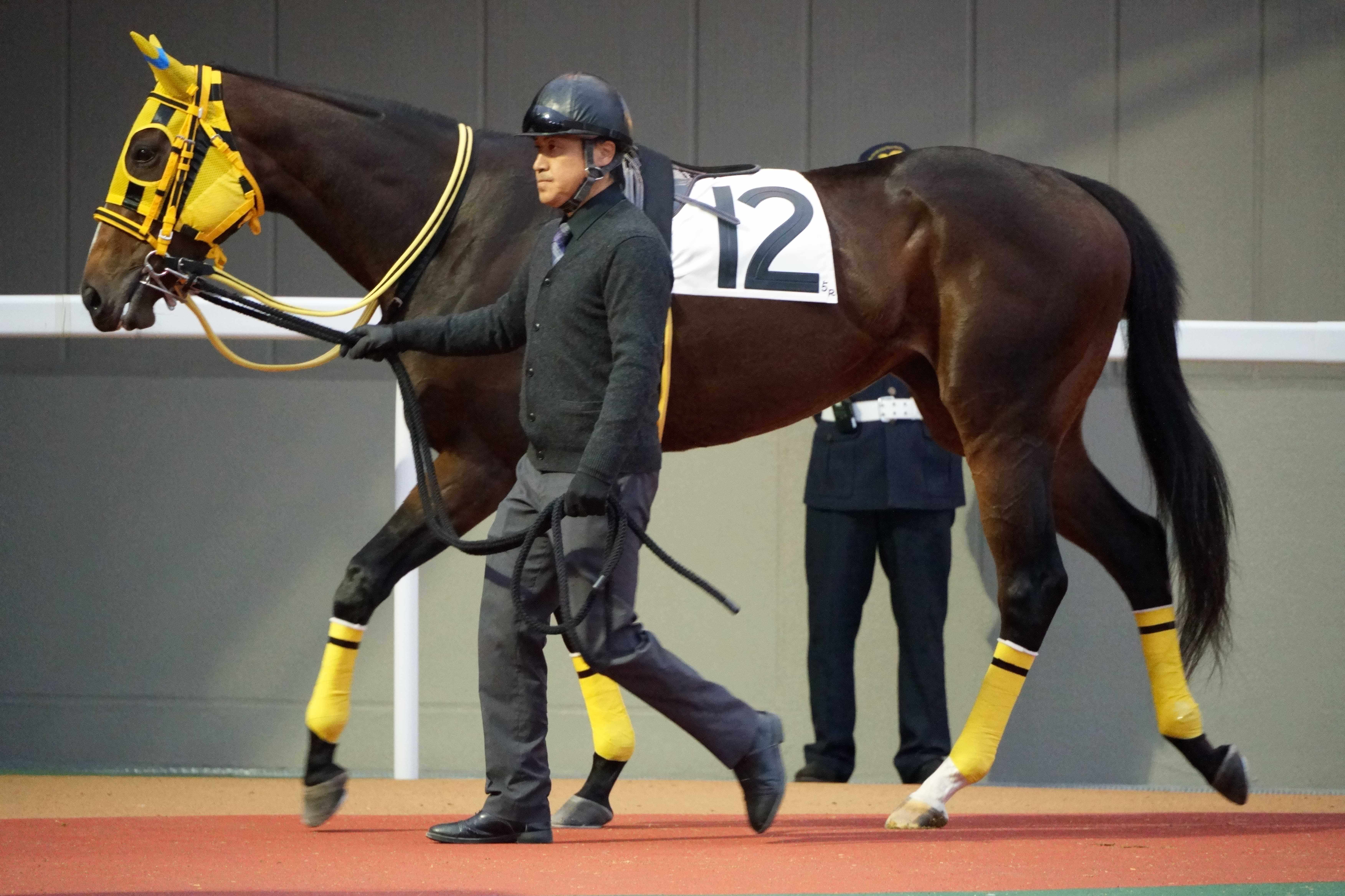 アークシャルダーム