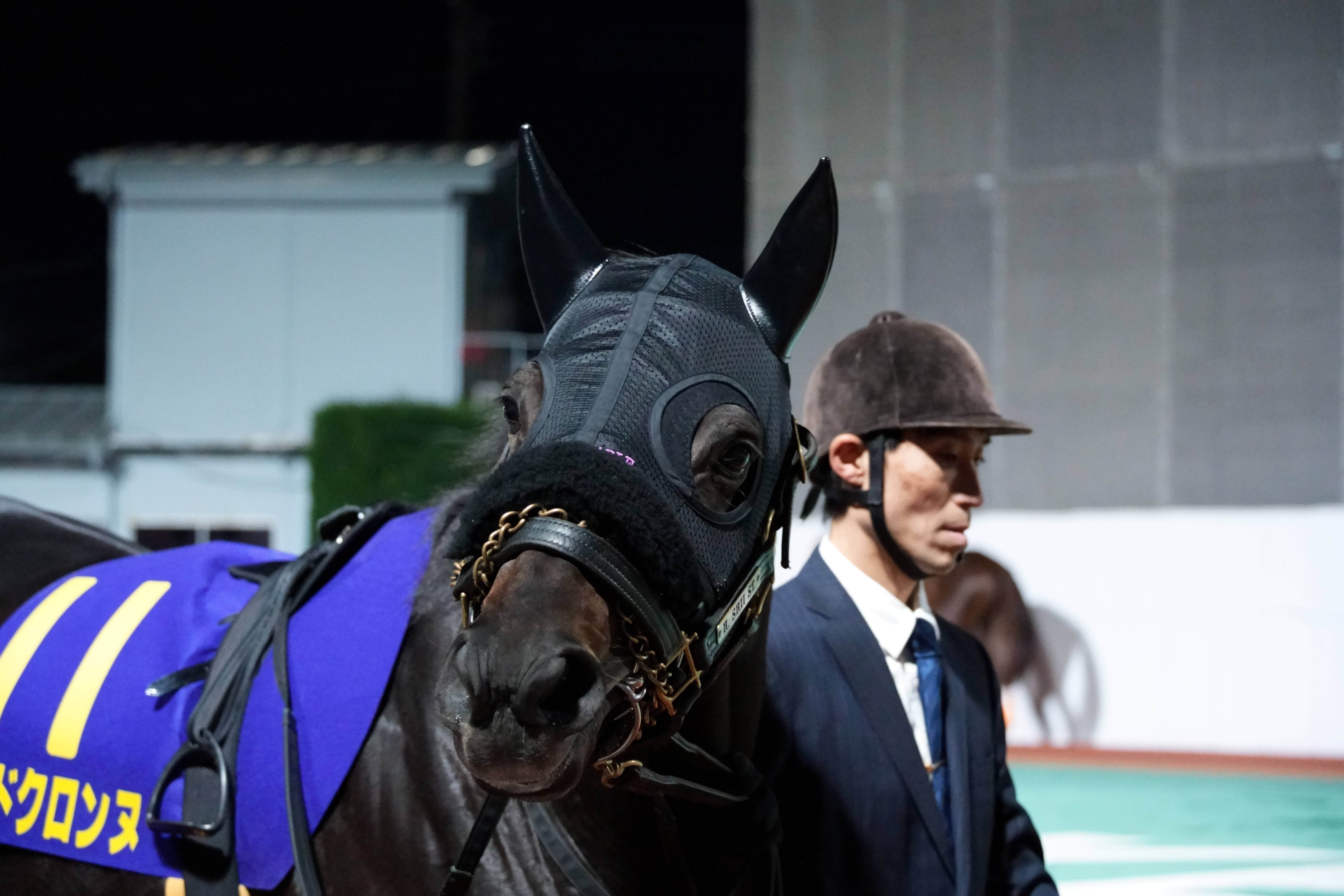 ロードクロンヌ