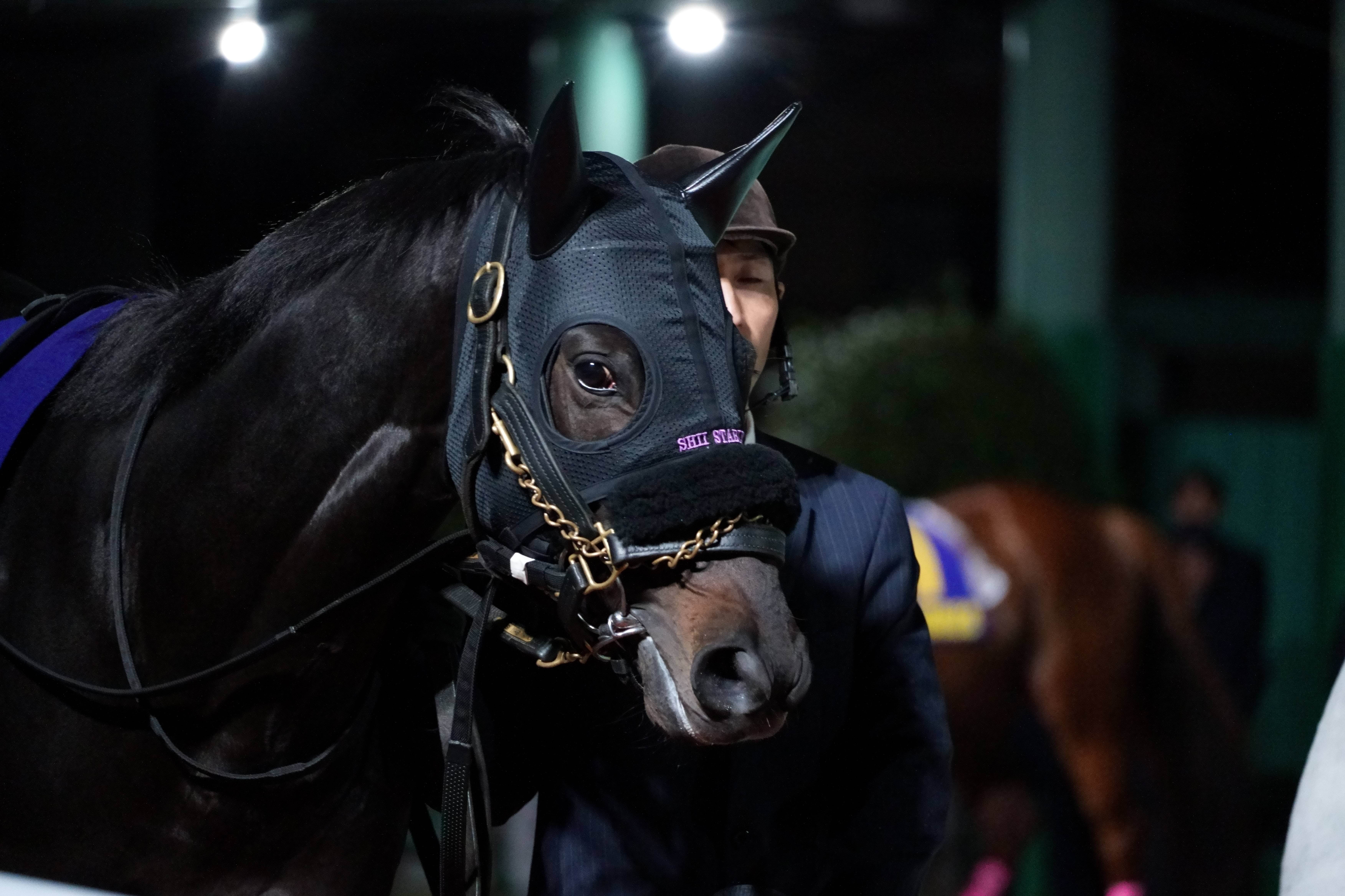 ロードクロンヌ