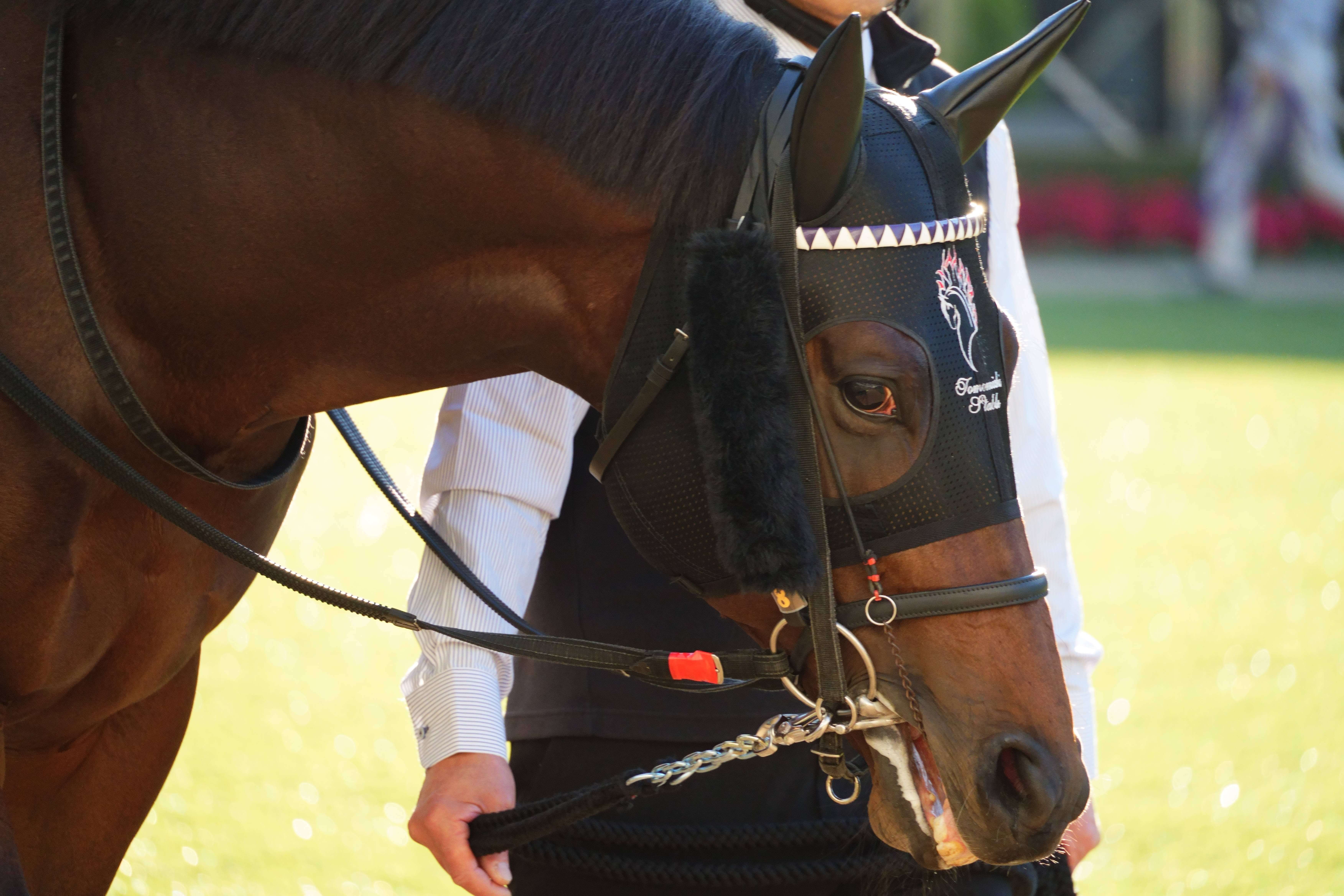 ロードフォアエース