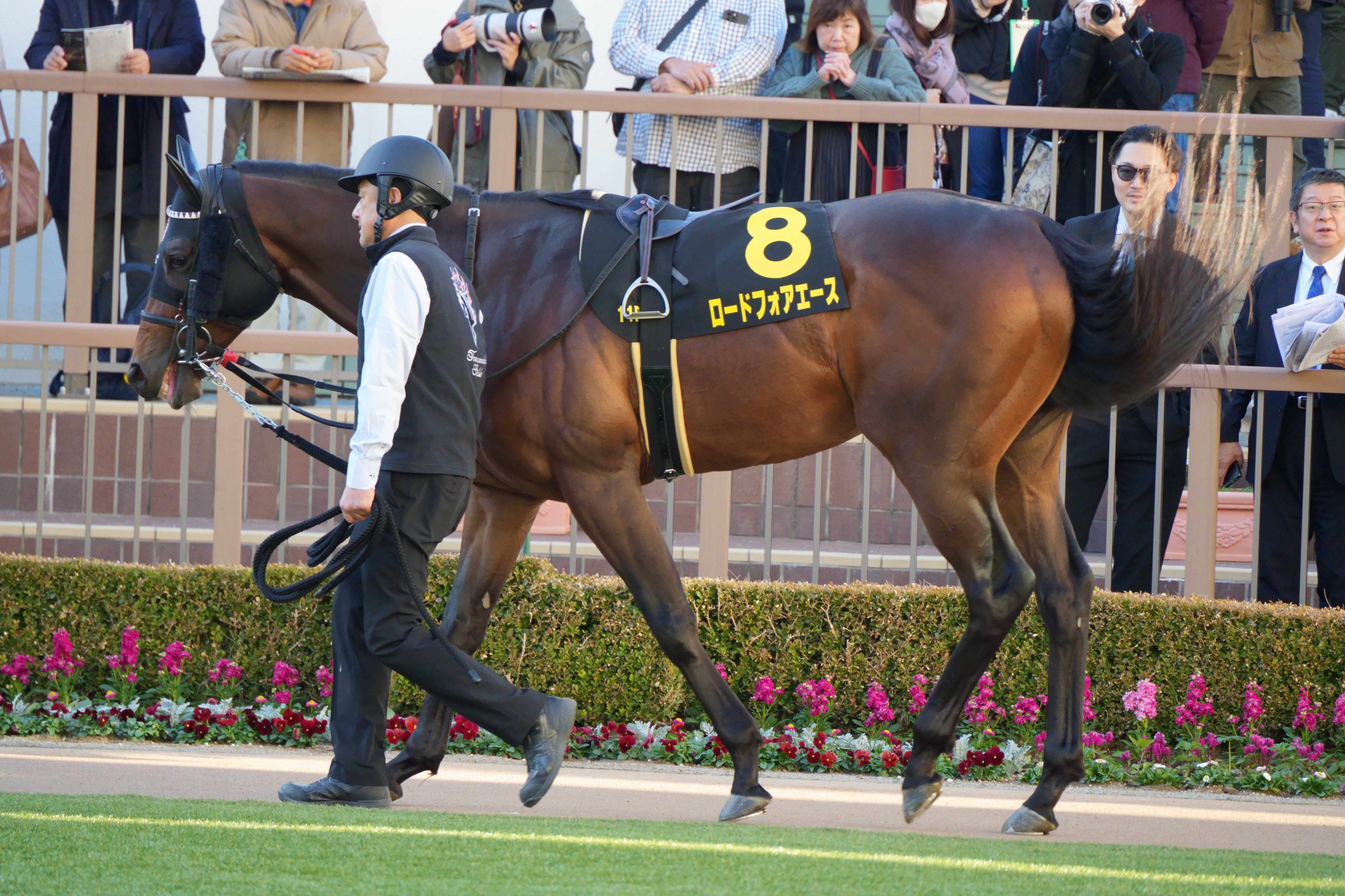 ロードフォアエース