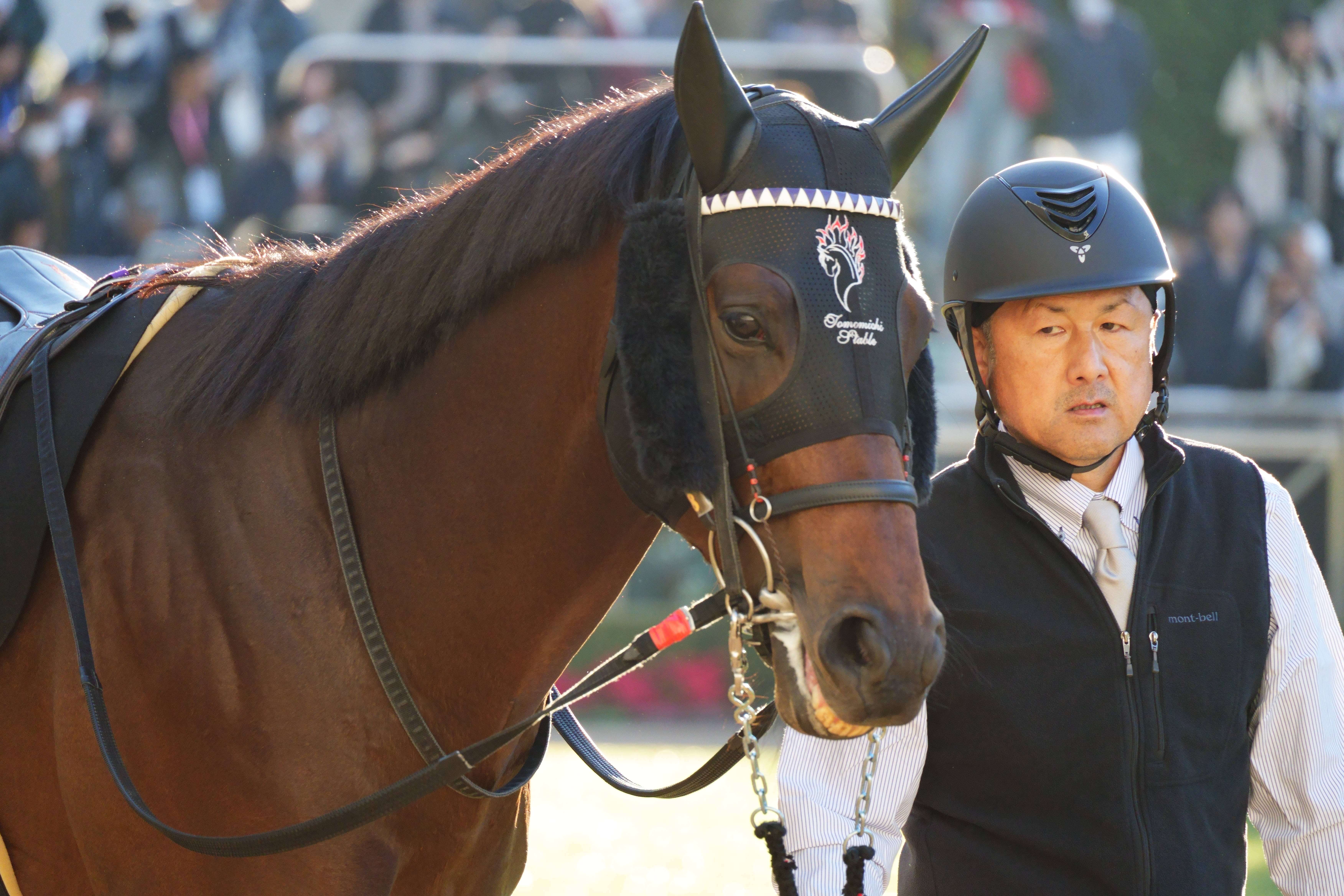 ロードフォアエース