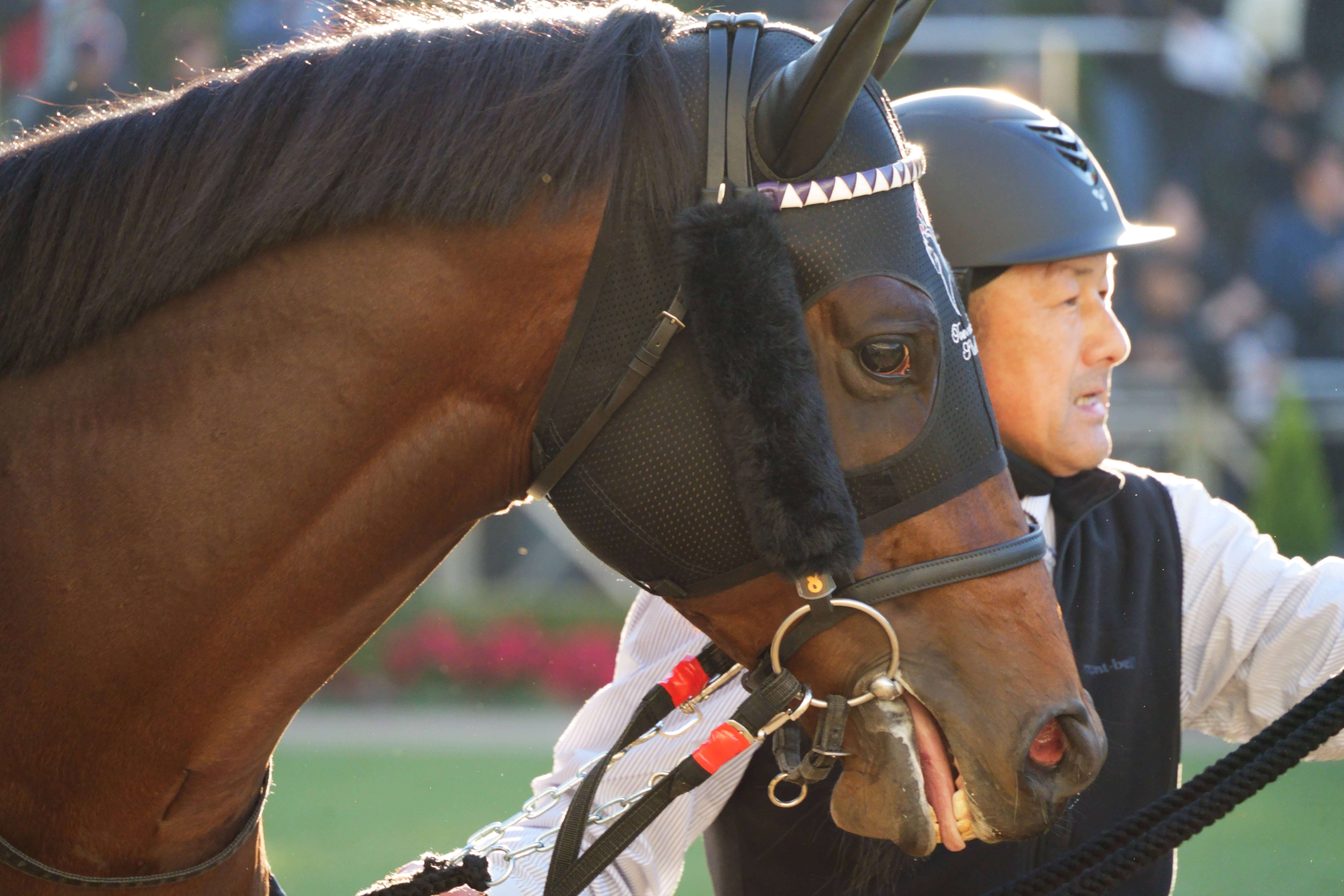 ロードフォアエース