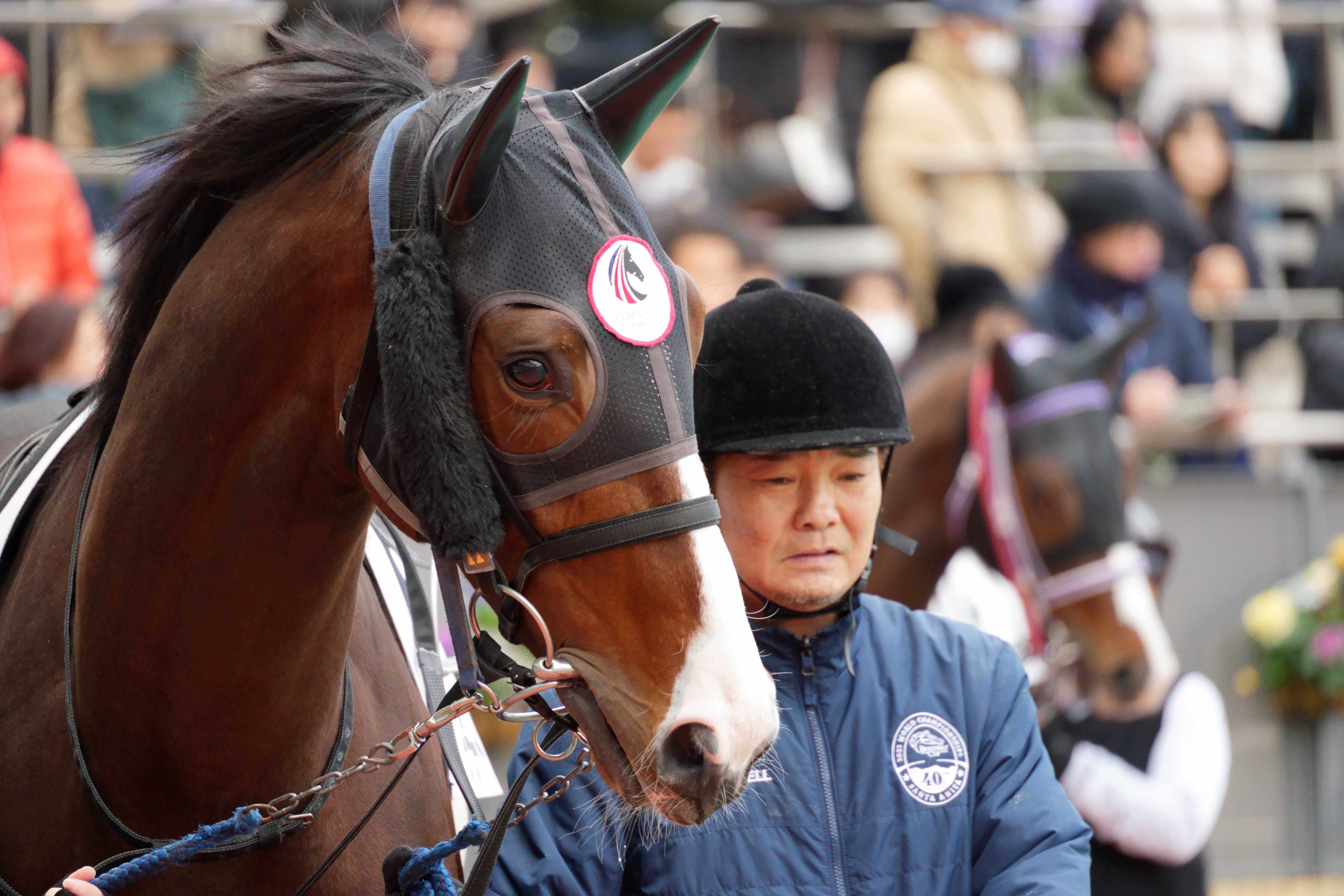 ロードステラート