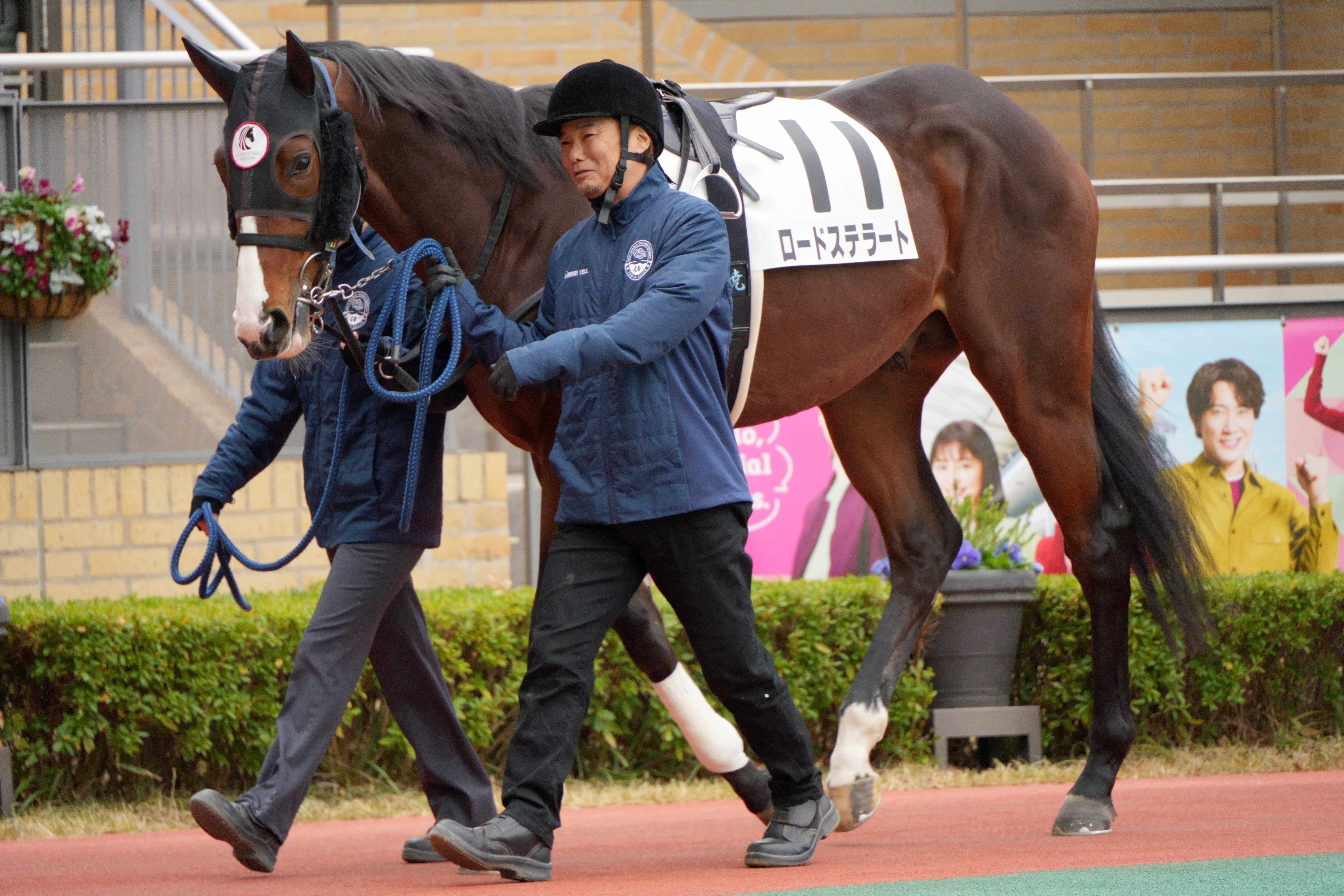 ロードステラート