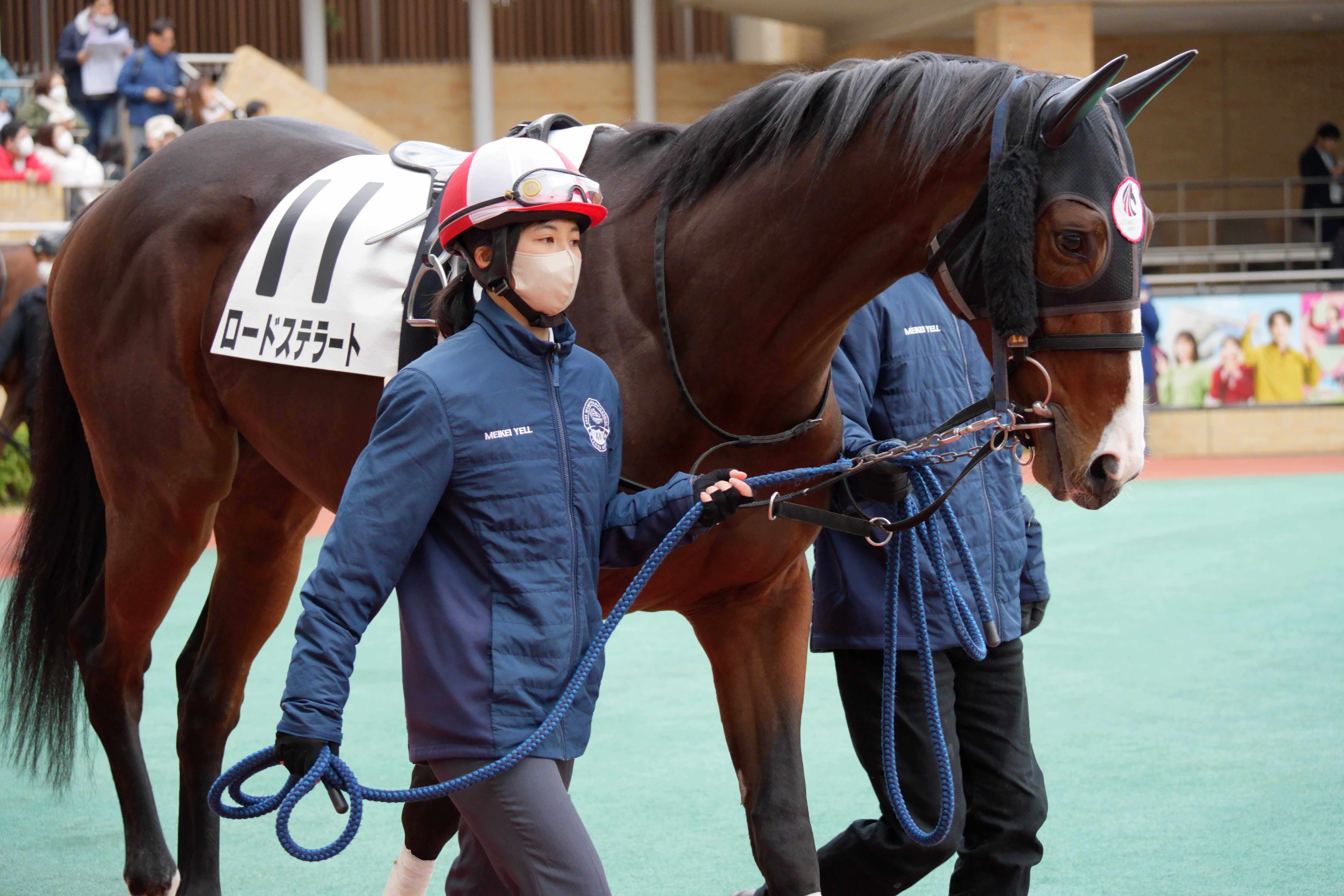 ロードステラート