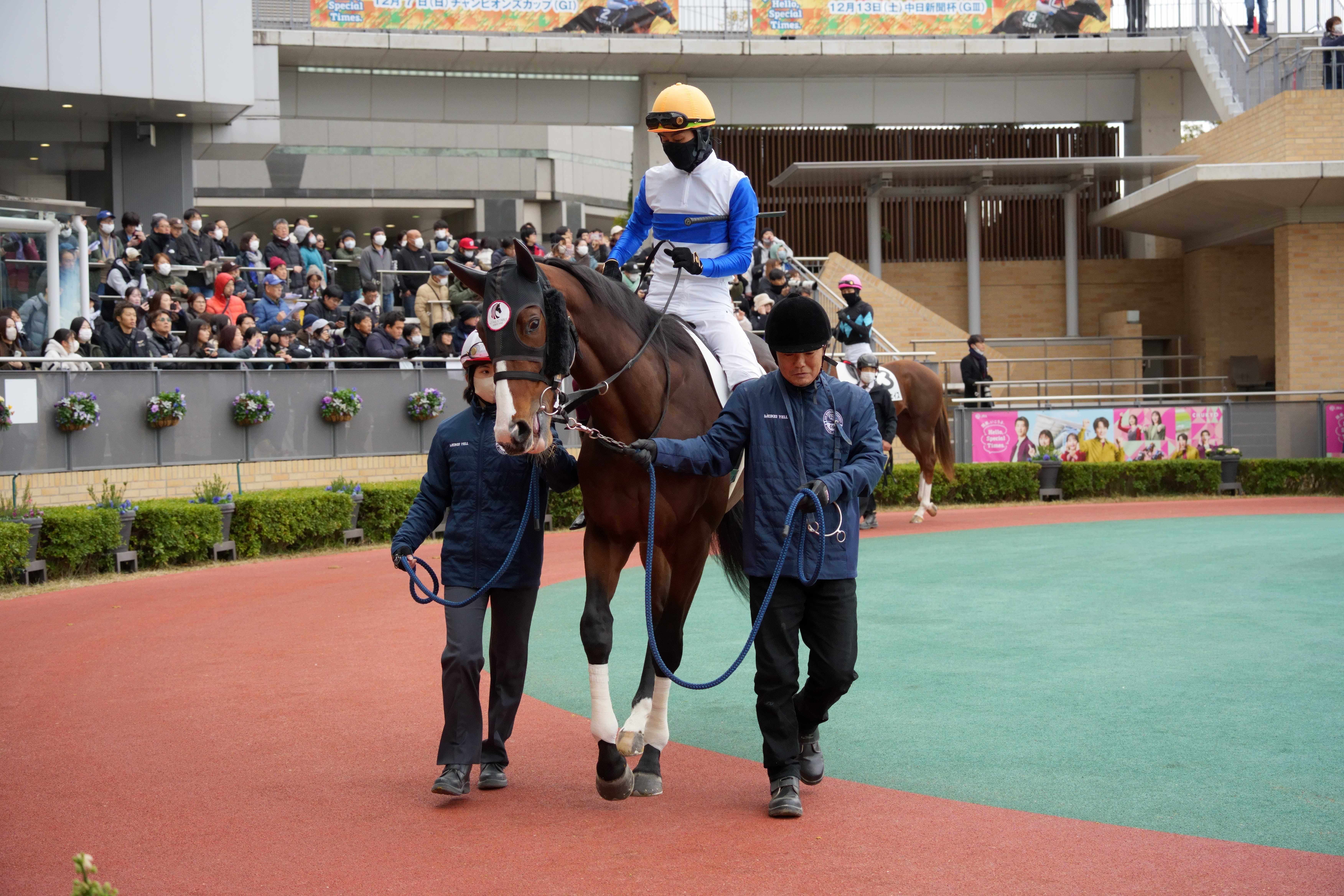 ロードステラート