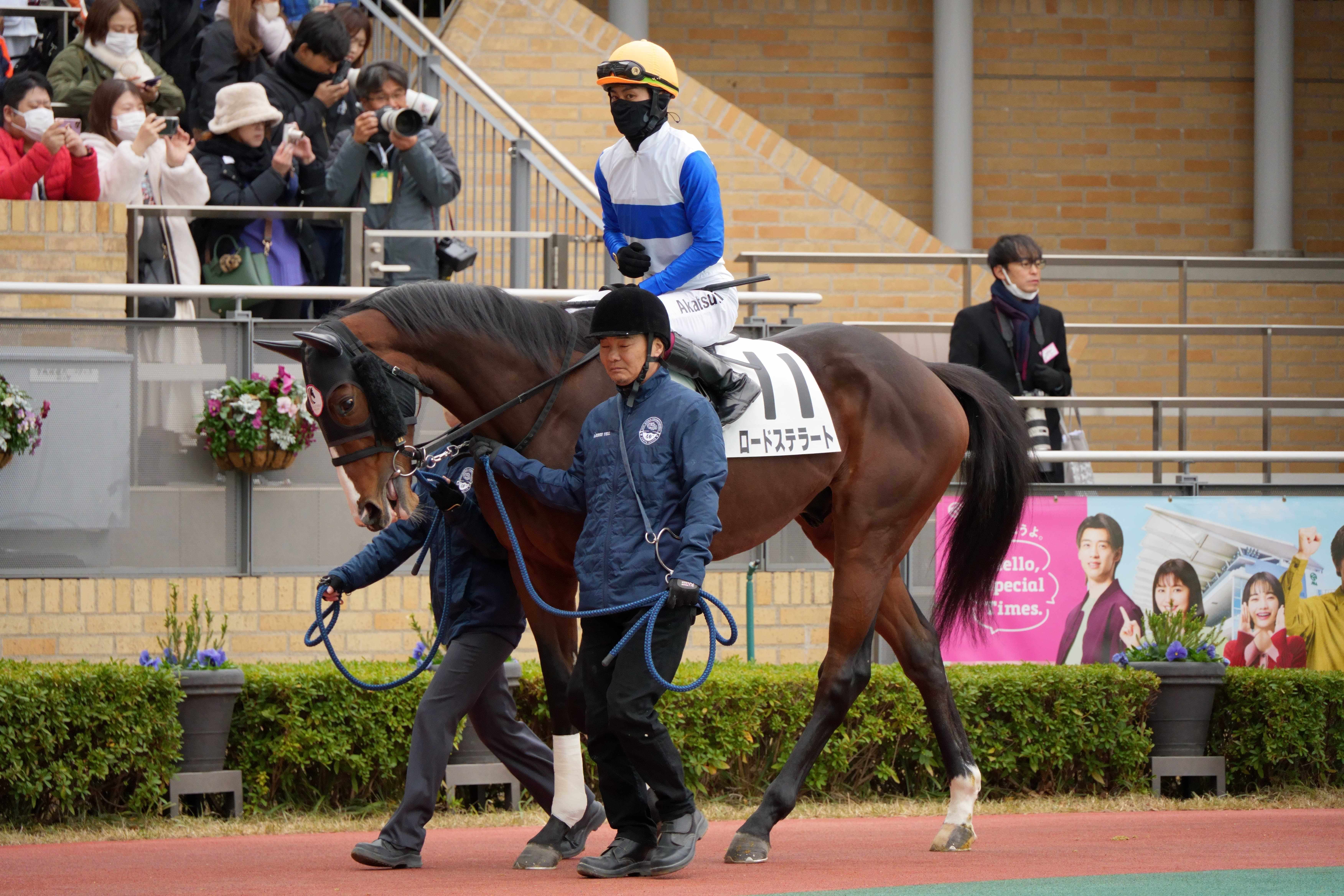 ロードステラート