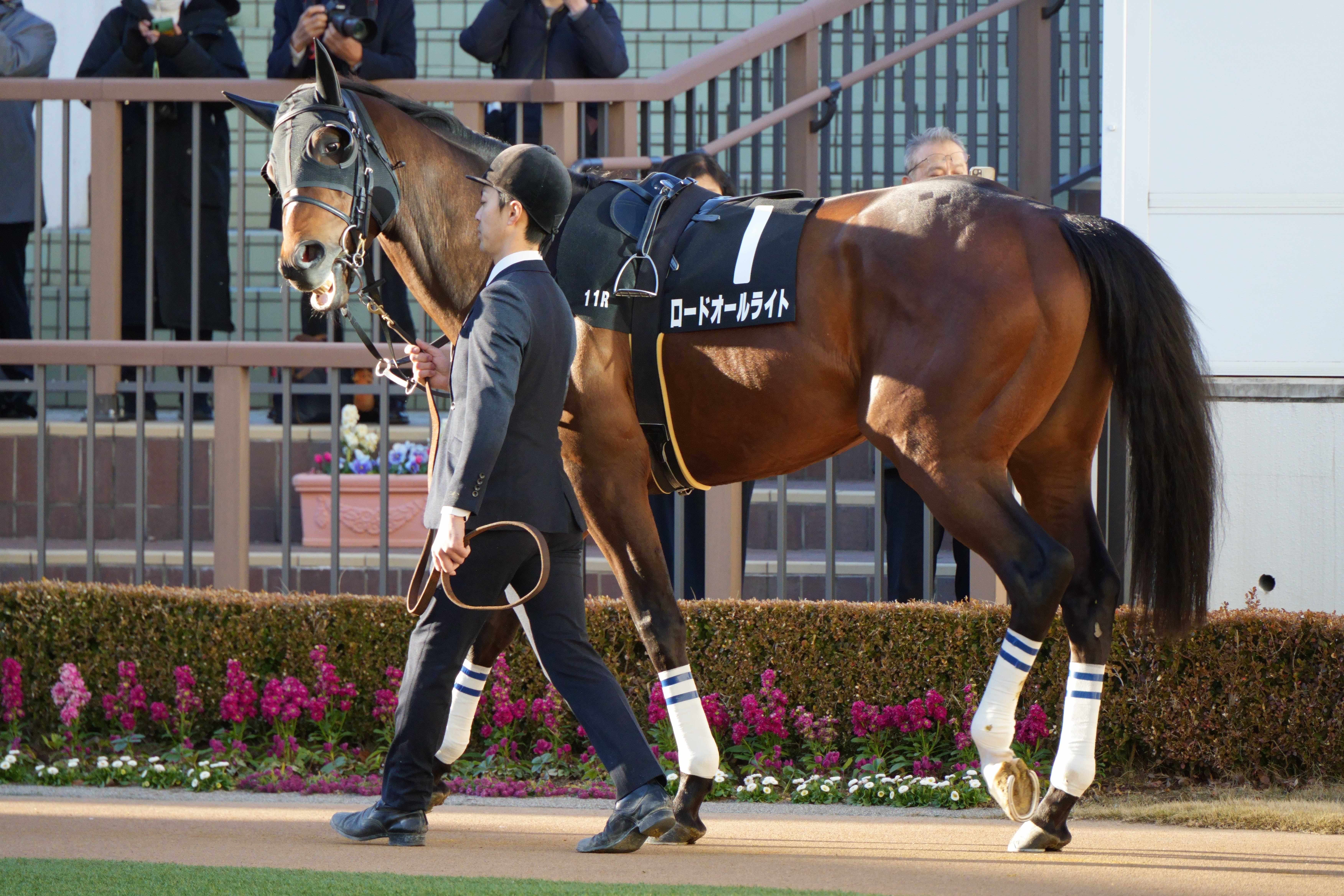 ロードオールライト