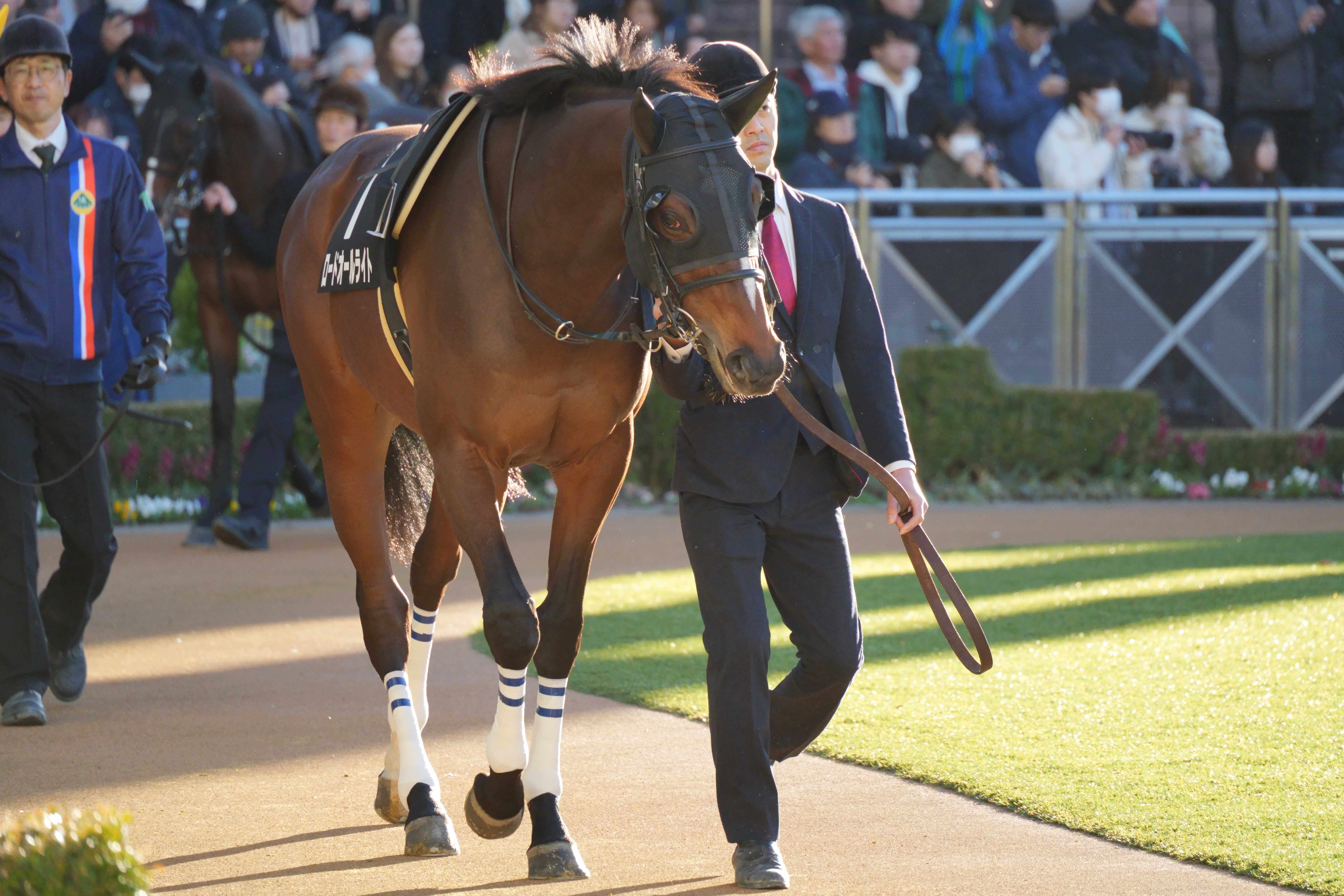 ロードオールライト