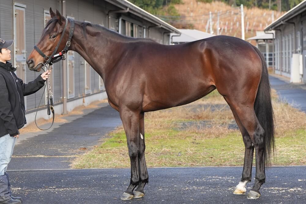 ハリウッドメモリー