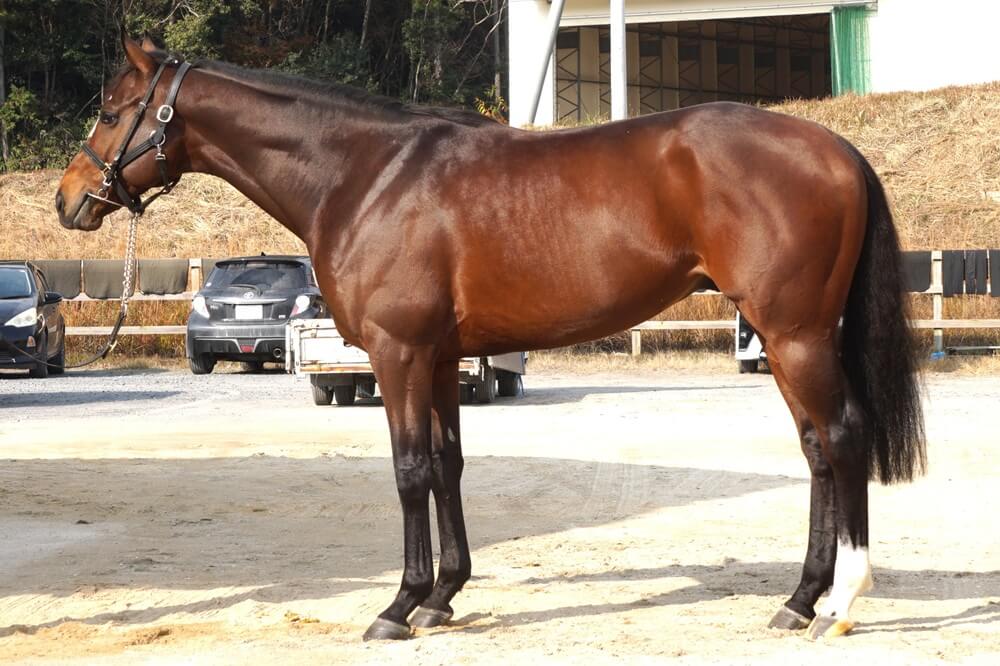 ロードオールライト