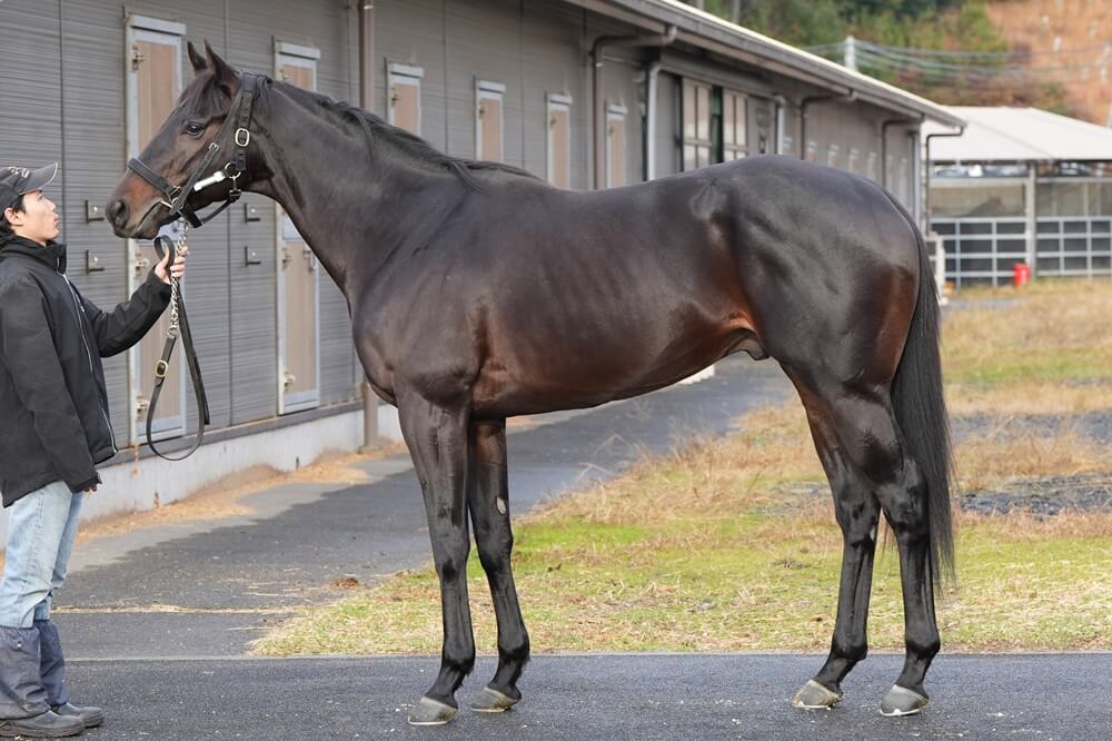 ロードクロンヌ