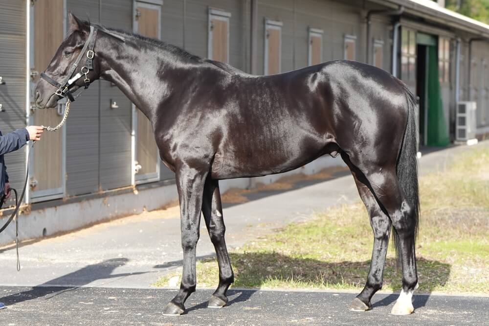 ロードスタニング