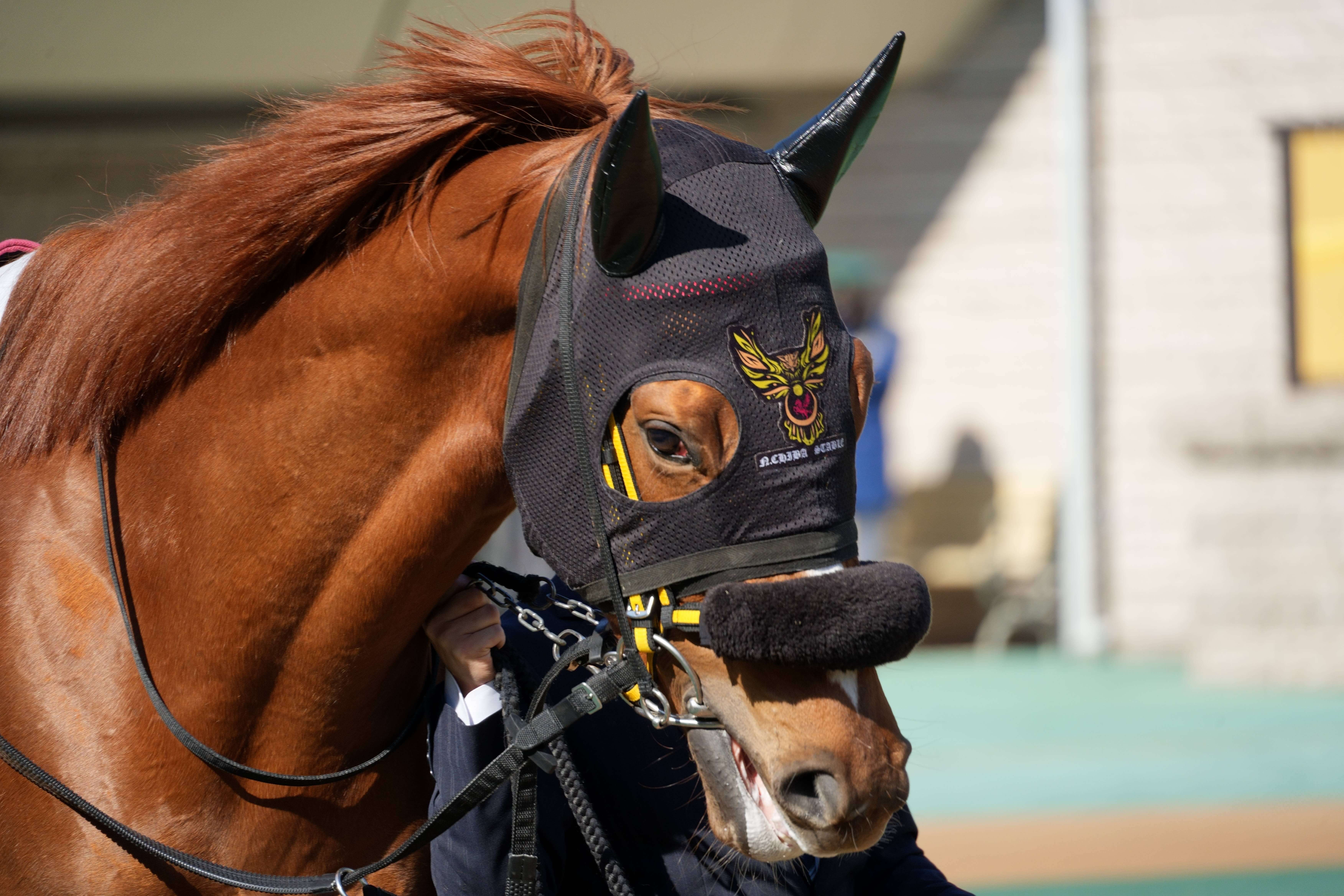 ロードトライデント