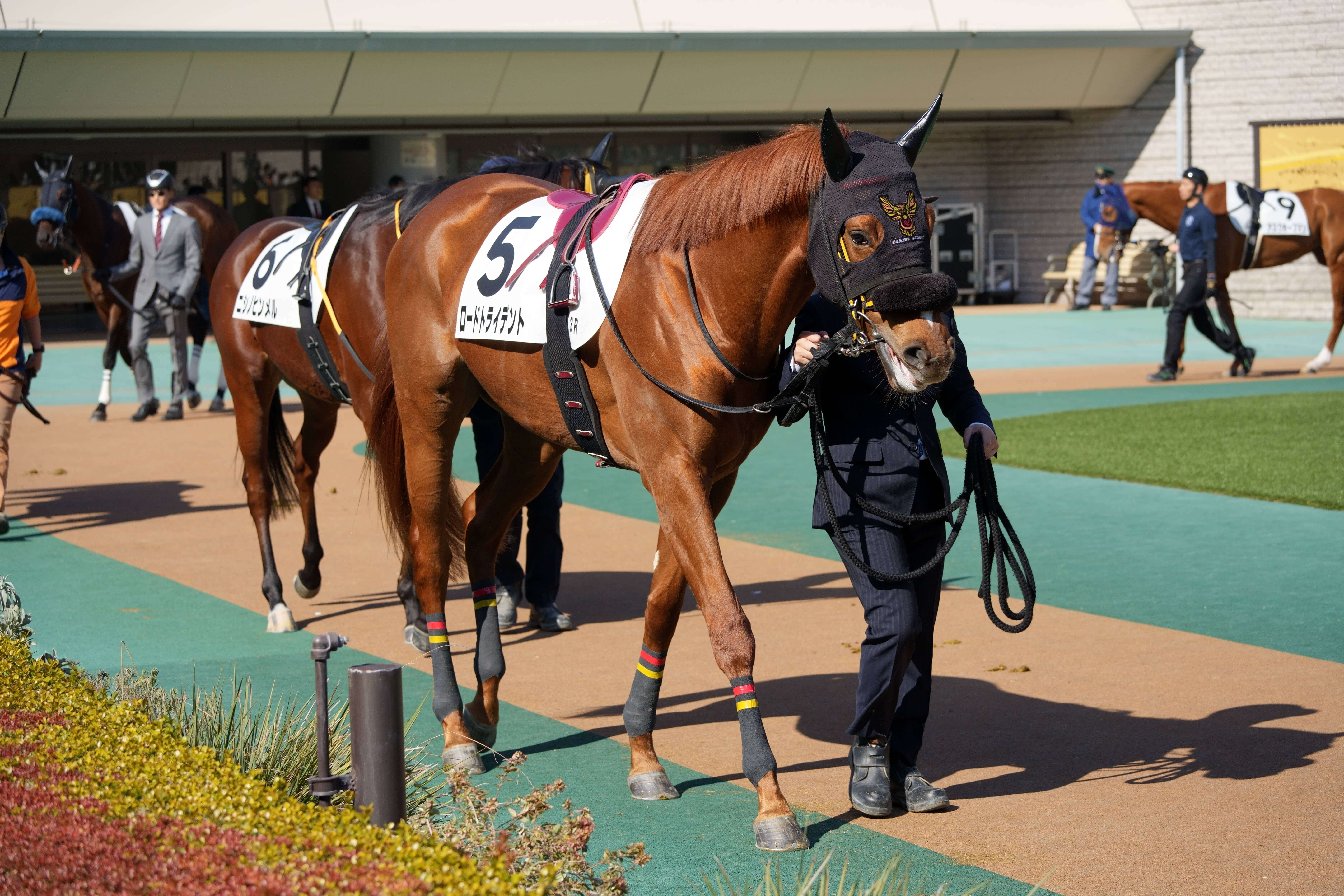 ロードトライデント