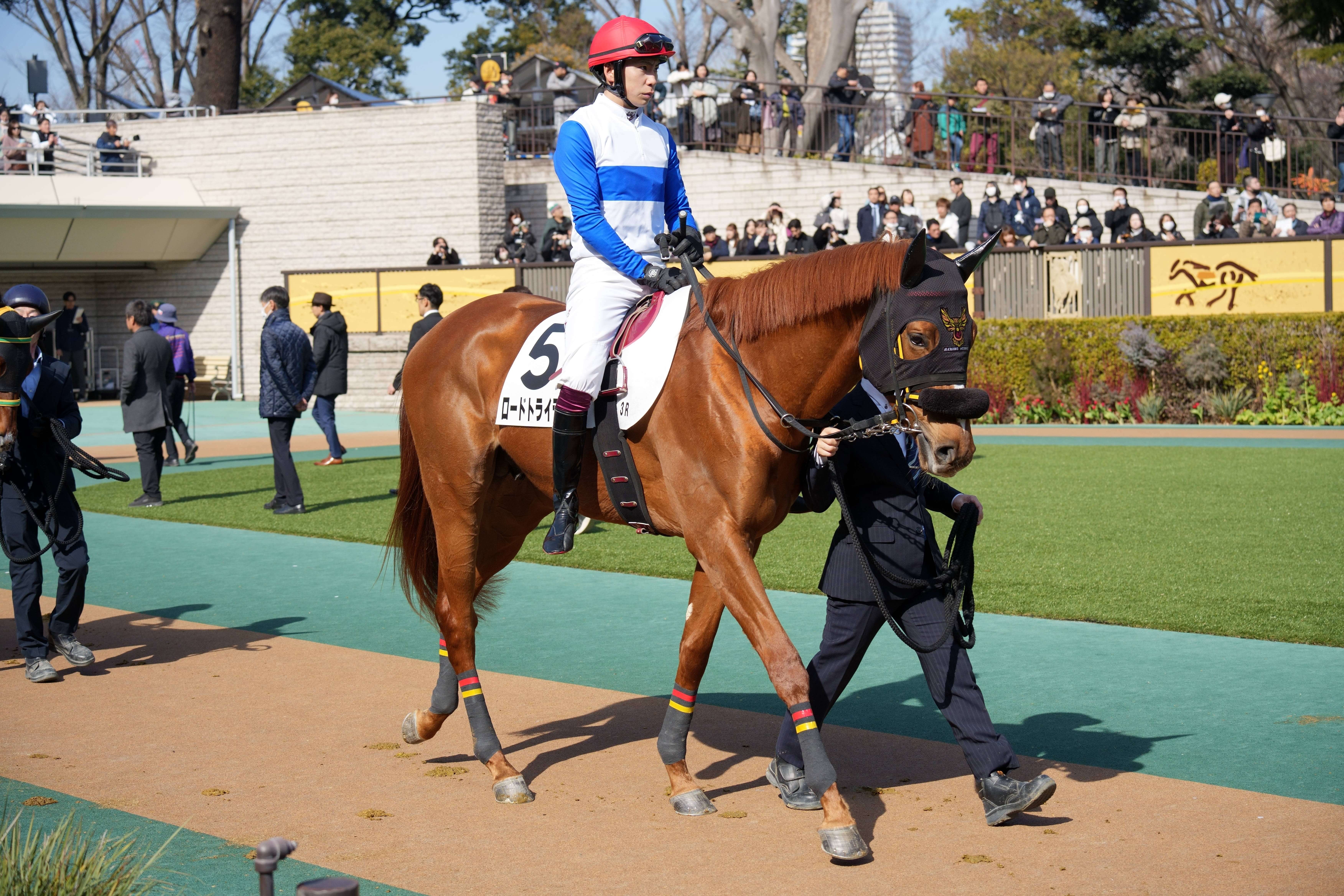 ロードトライデント