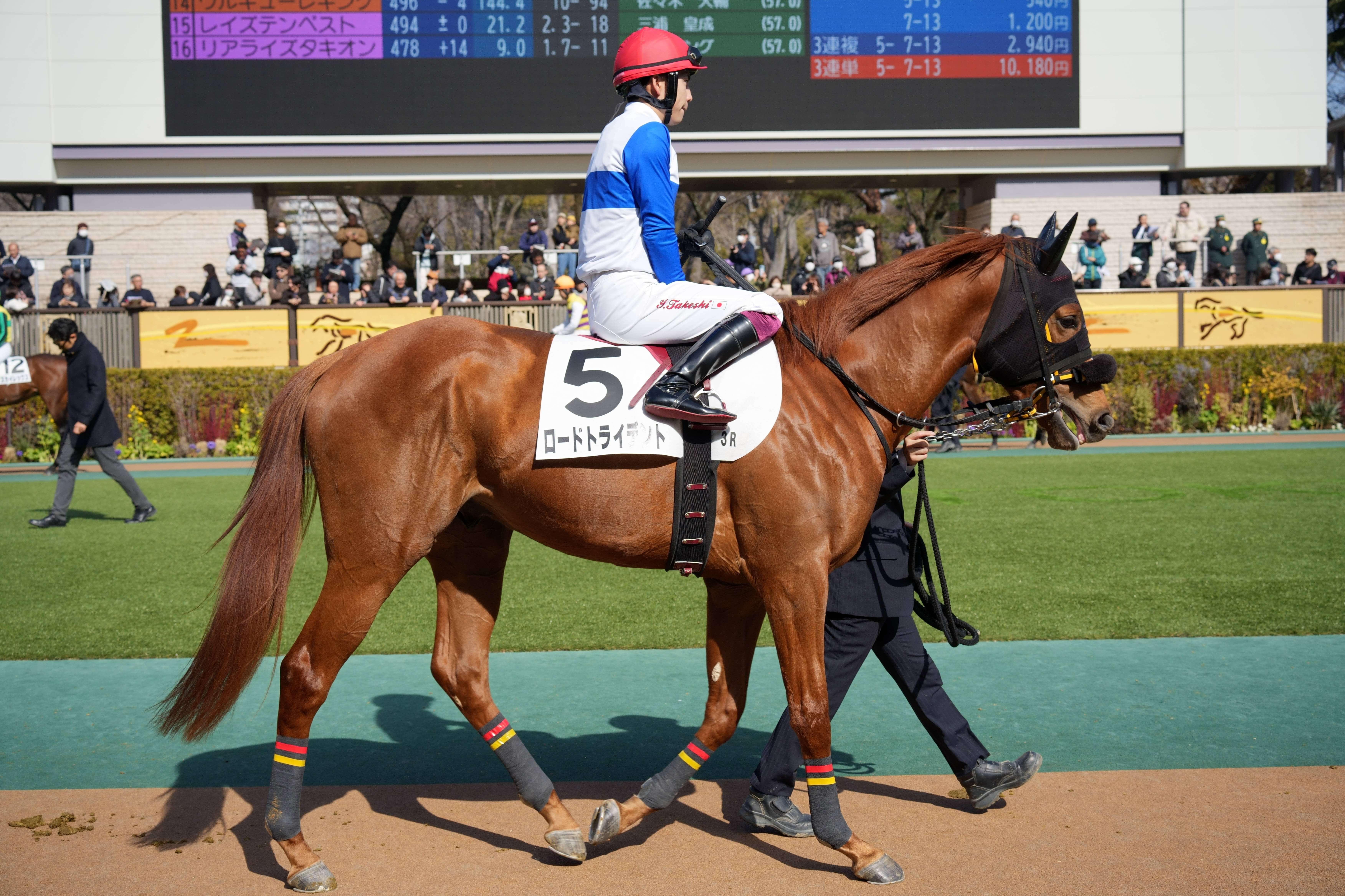 ロードトライデント