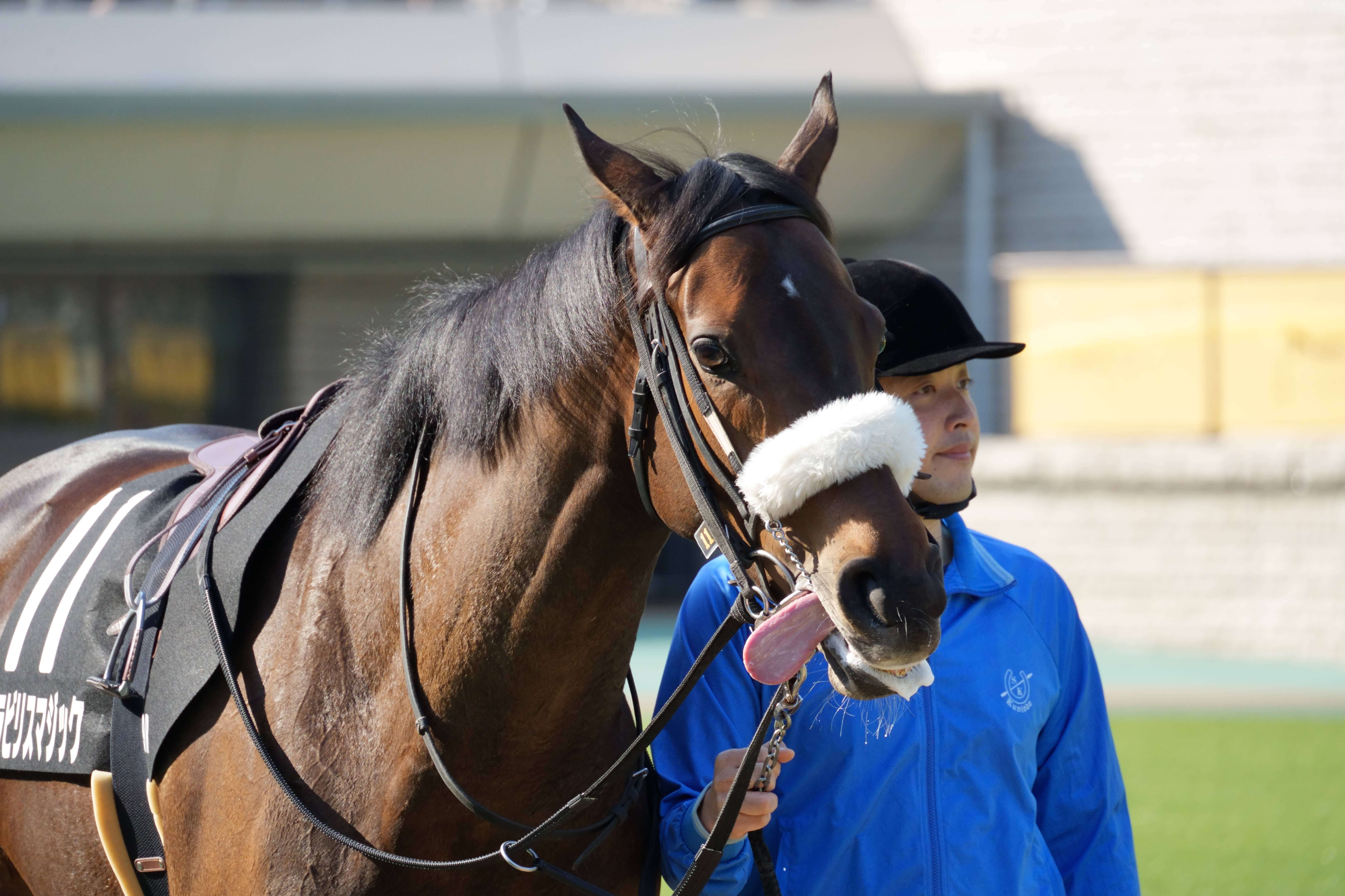 ミラビリスマジック