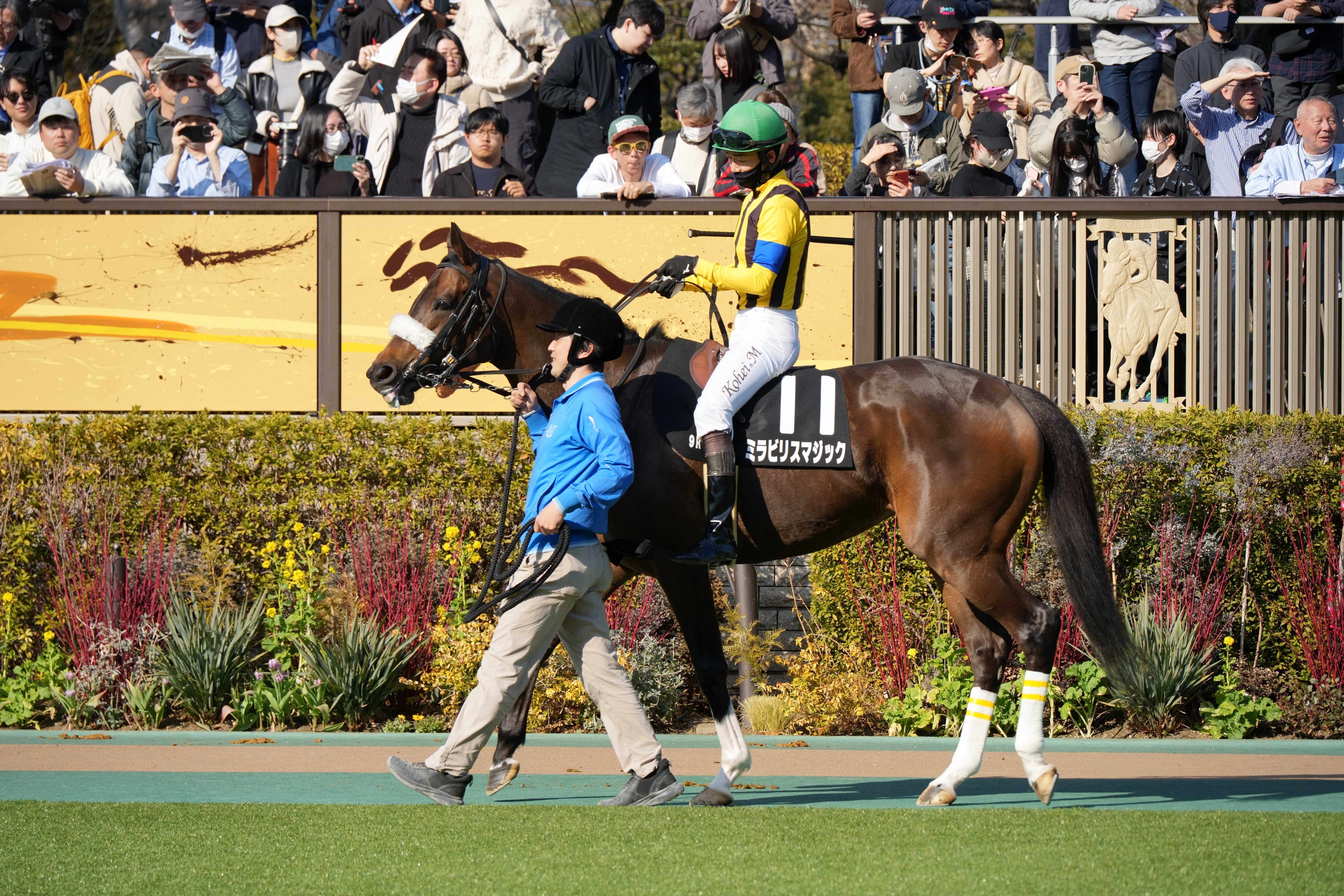 ミラビリスマジック