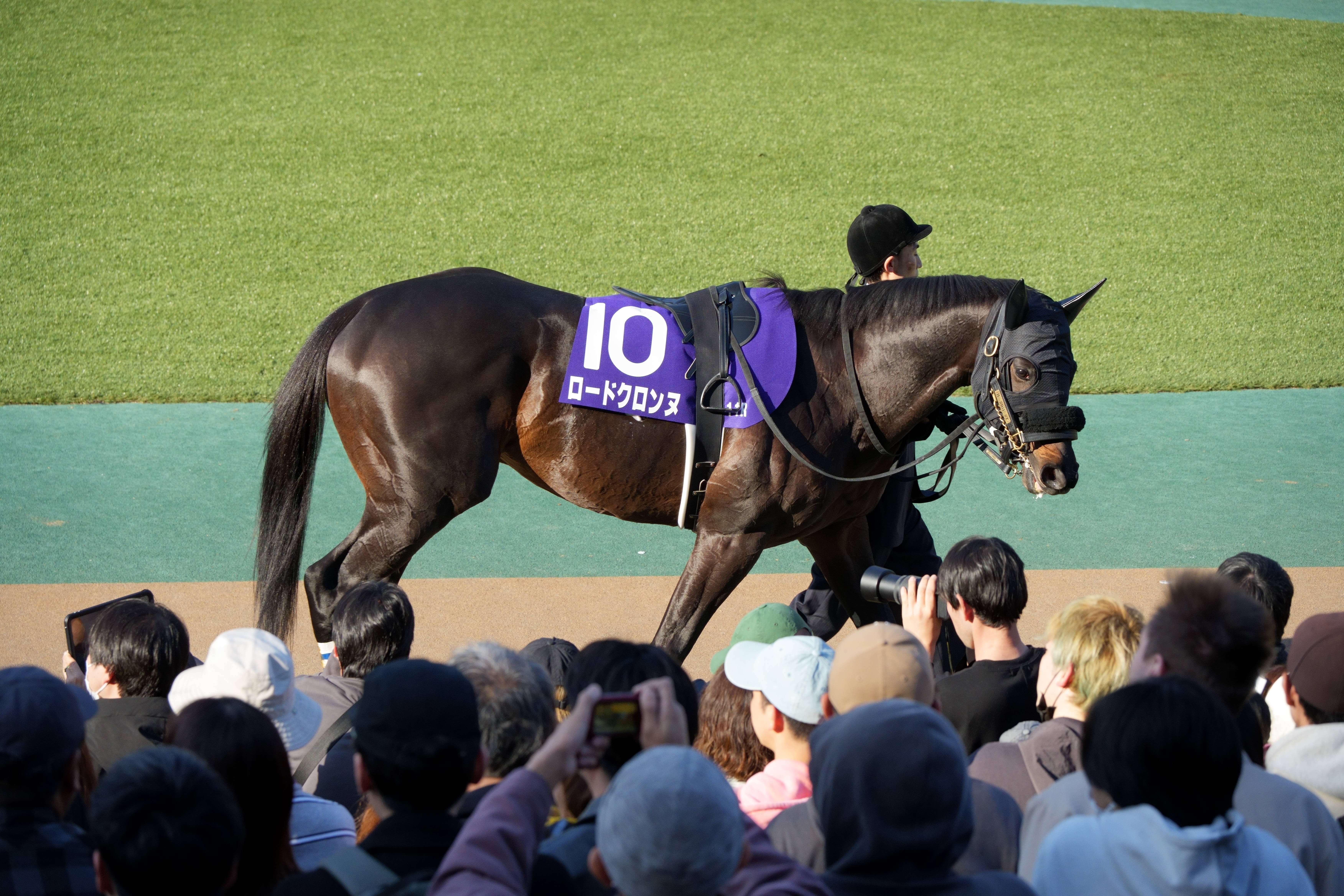 ロードクロンヌ