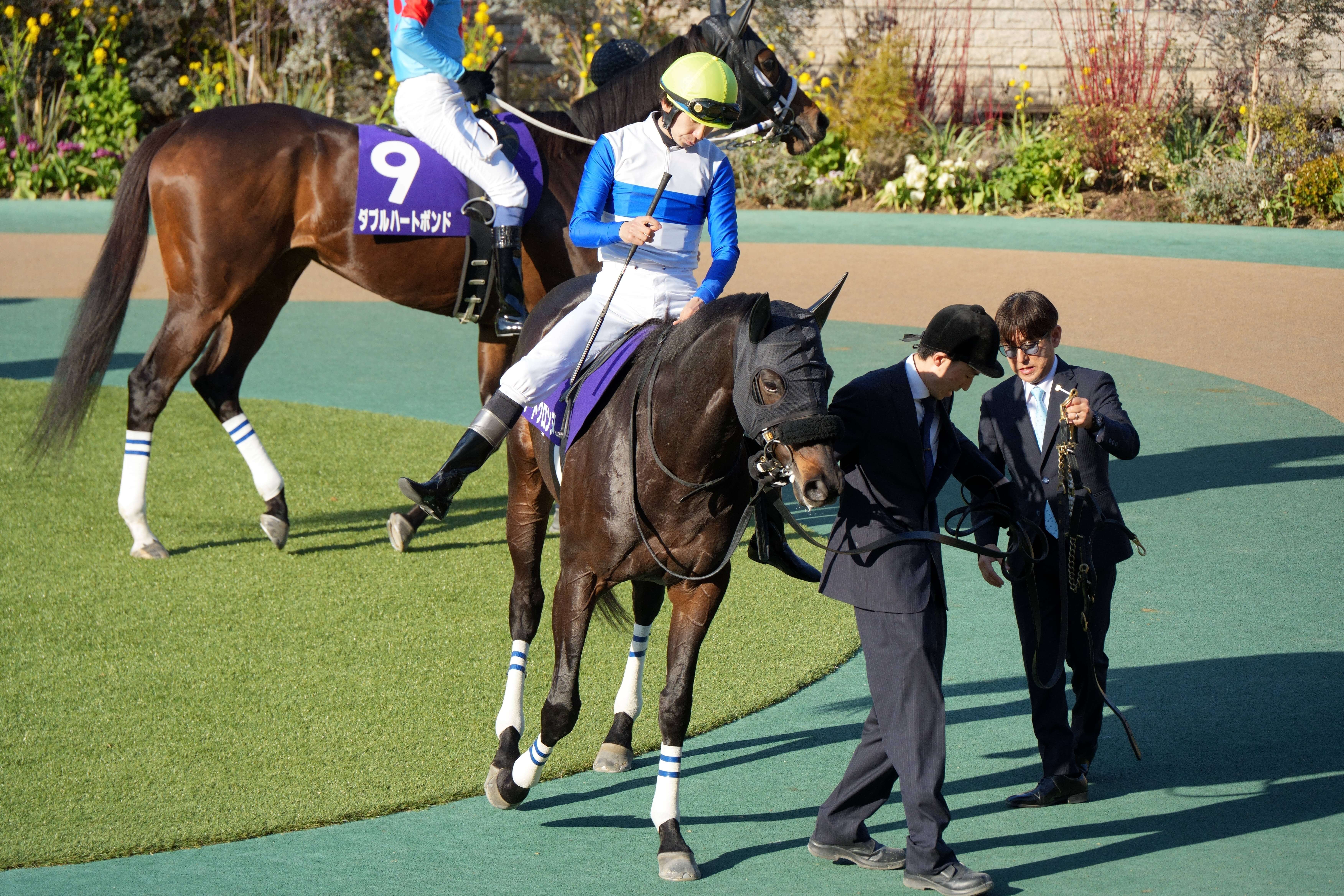 ロードクロンヌ