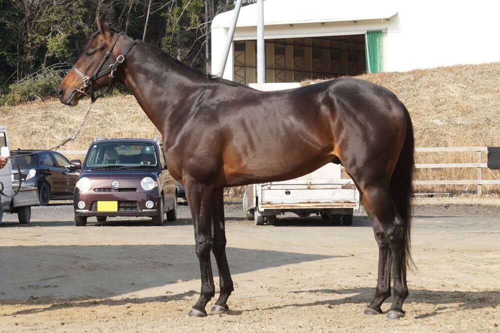 ロードデルレイ