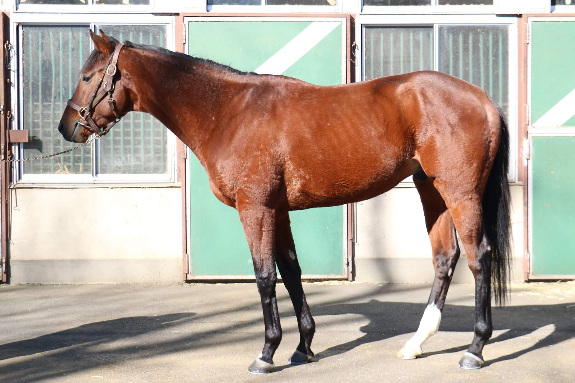 ロードフロリゼル