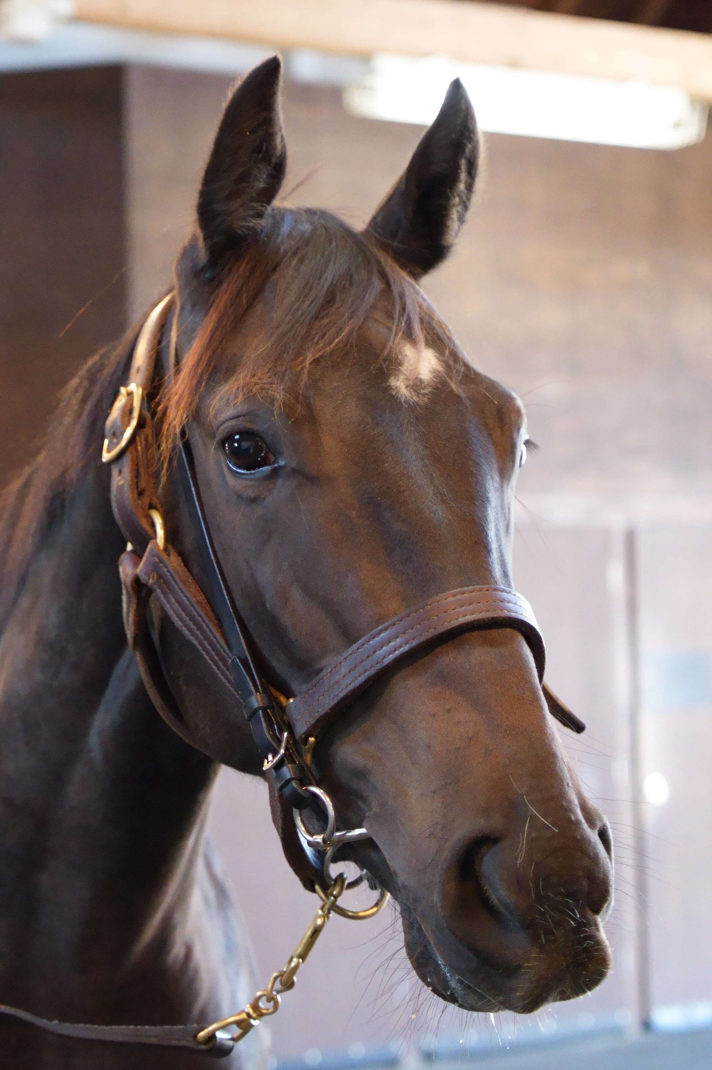 リュートフルシティの24