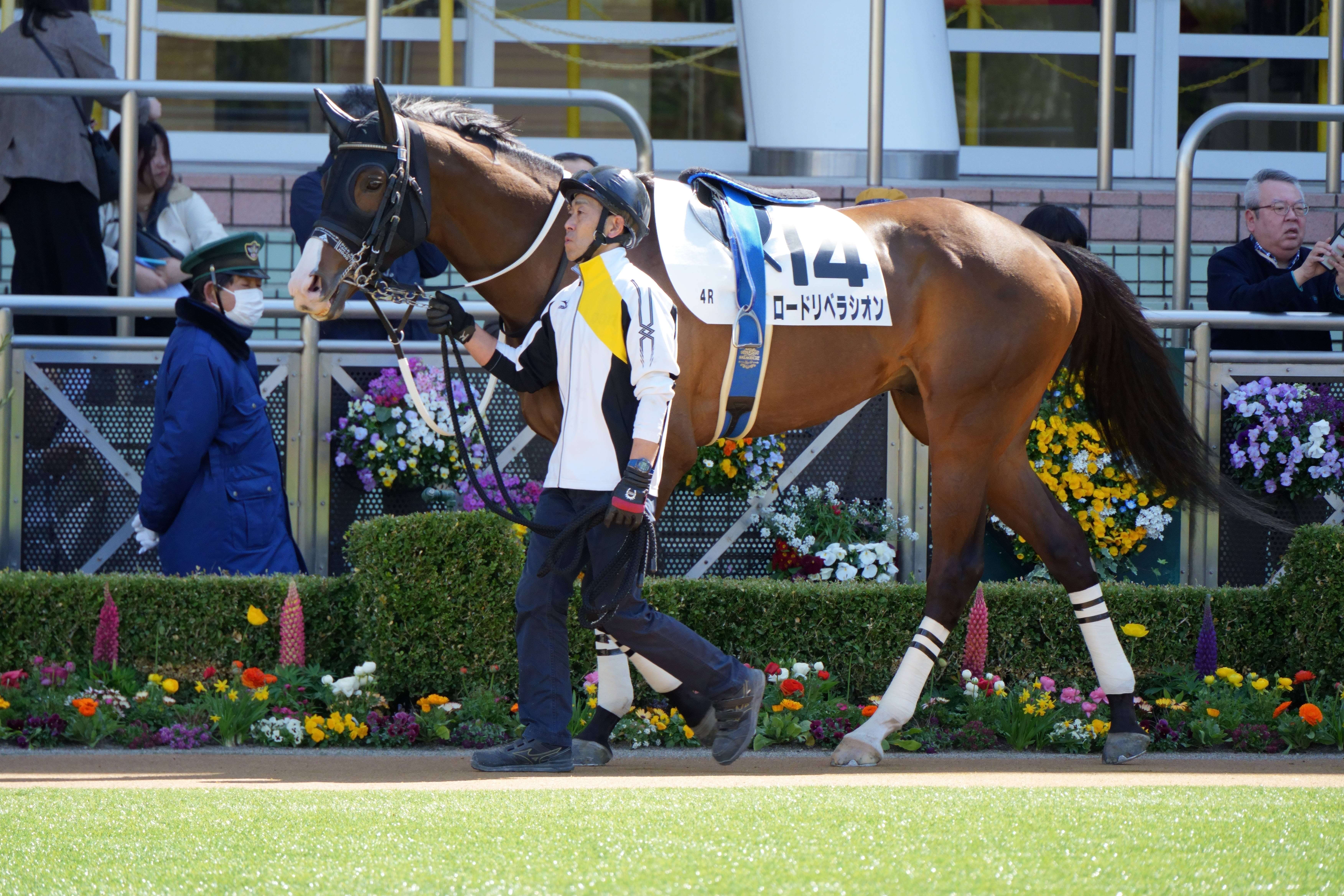 ロードリベラシオン