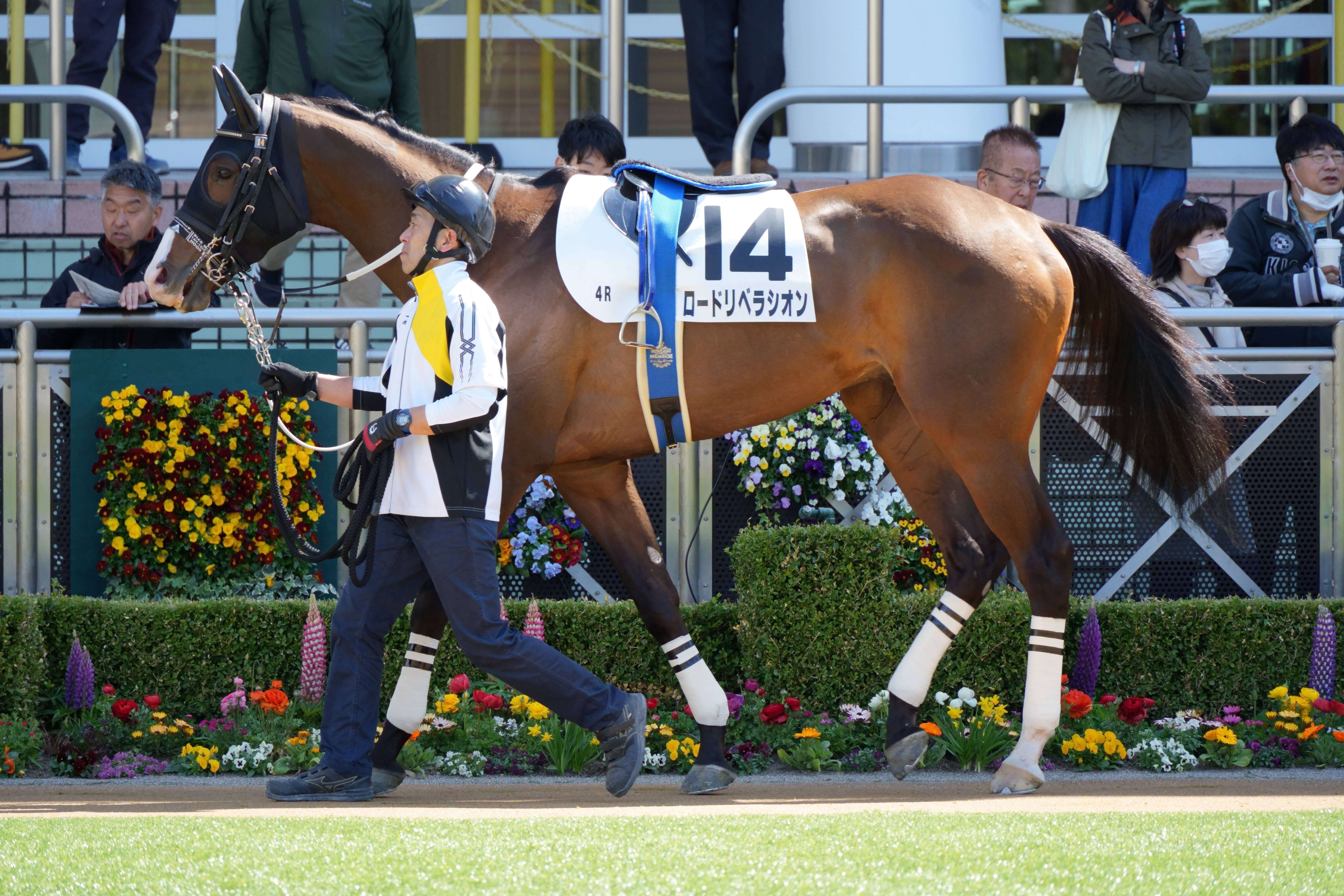 ロードリベラシオン