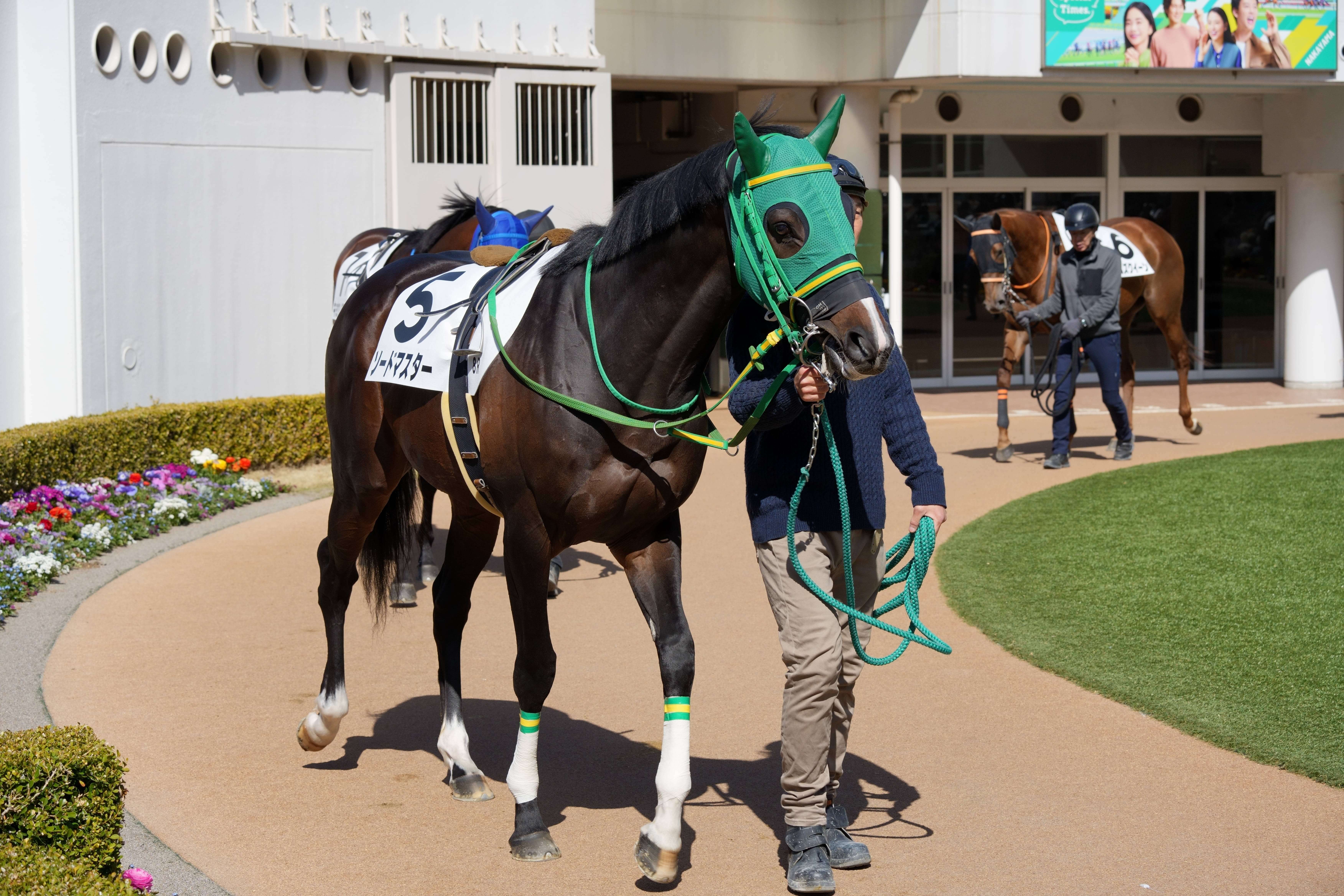 ソードマスター