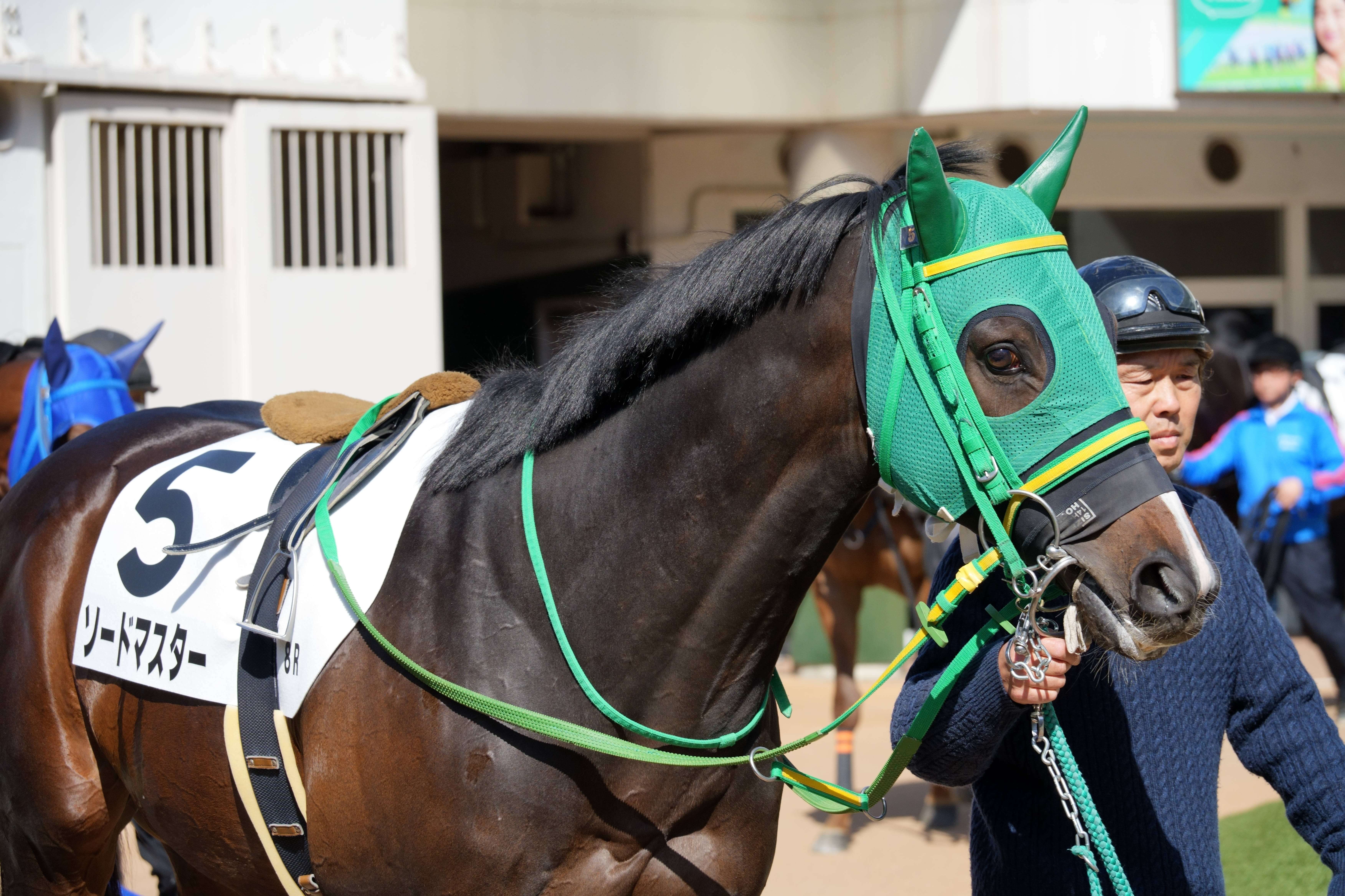 ソードマスター