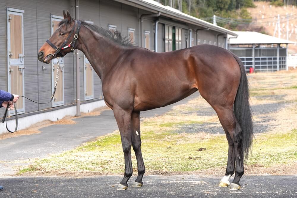 ハリウッドメモリー