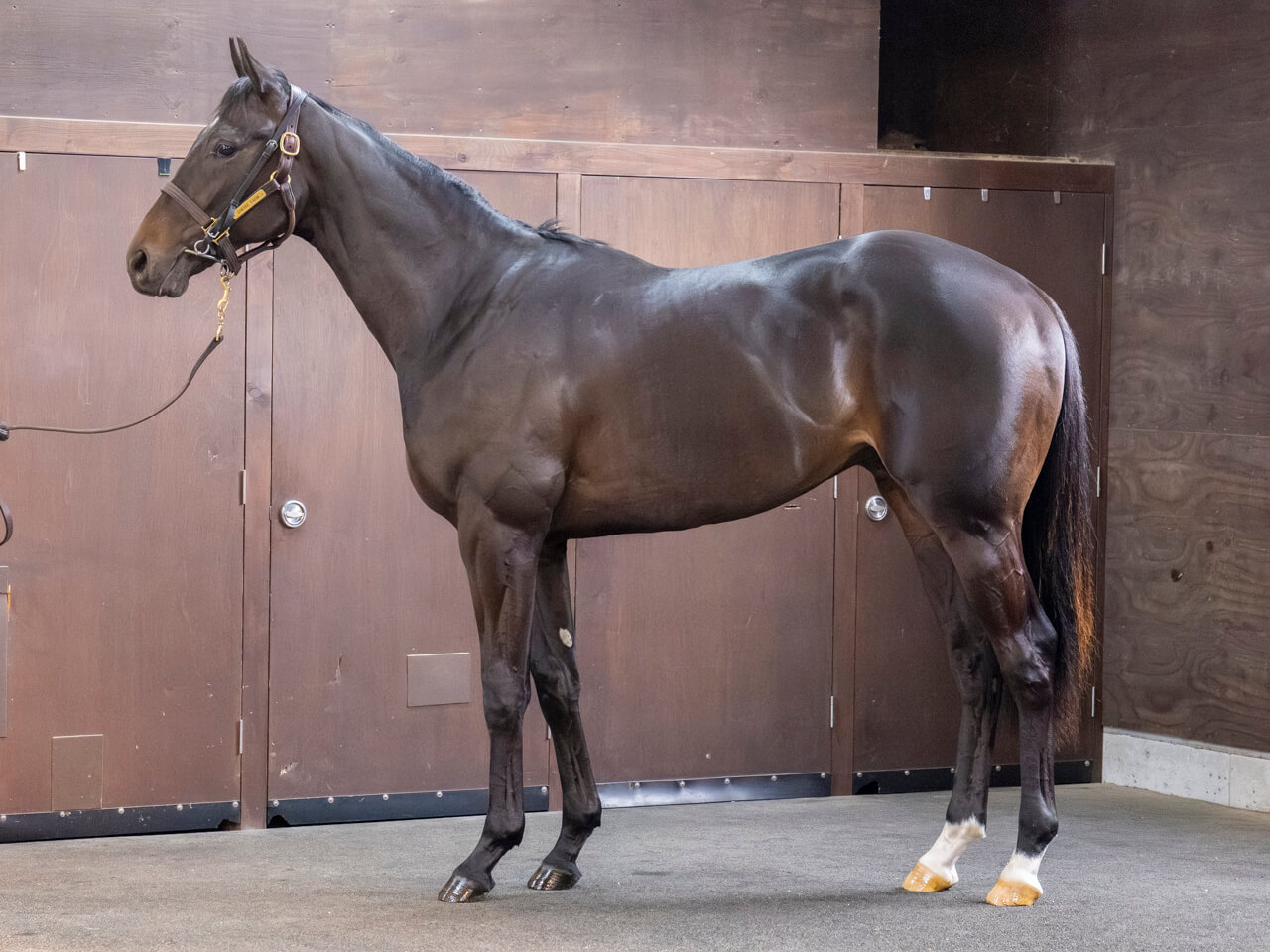 リュートフルシティの24