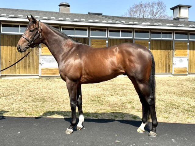 レジオンポレール