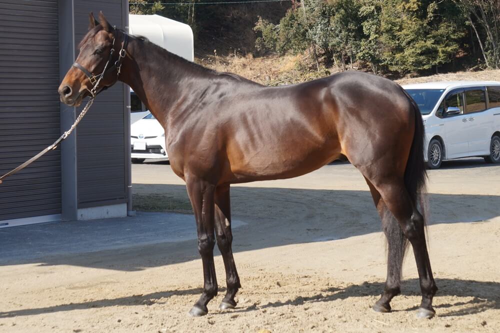 ロードデルレイ