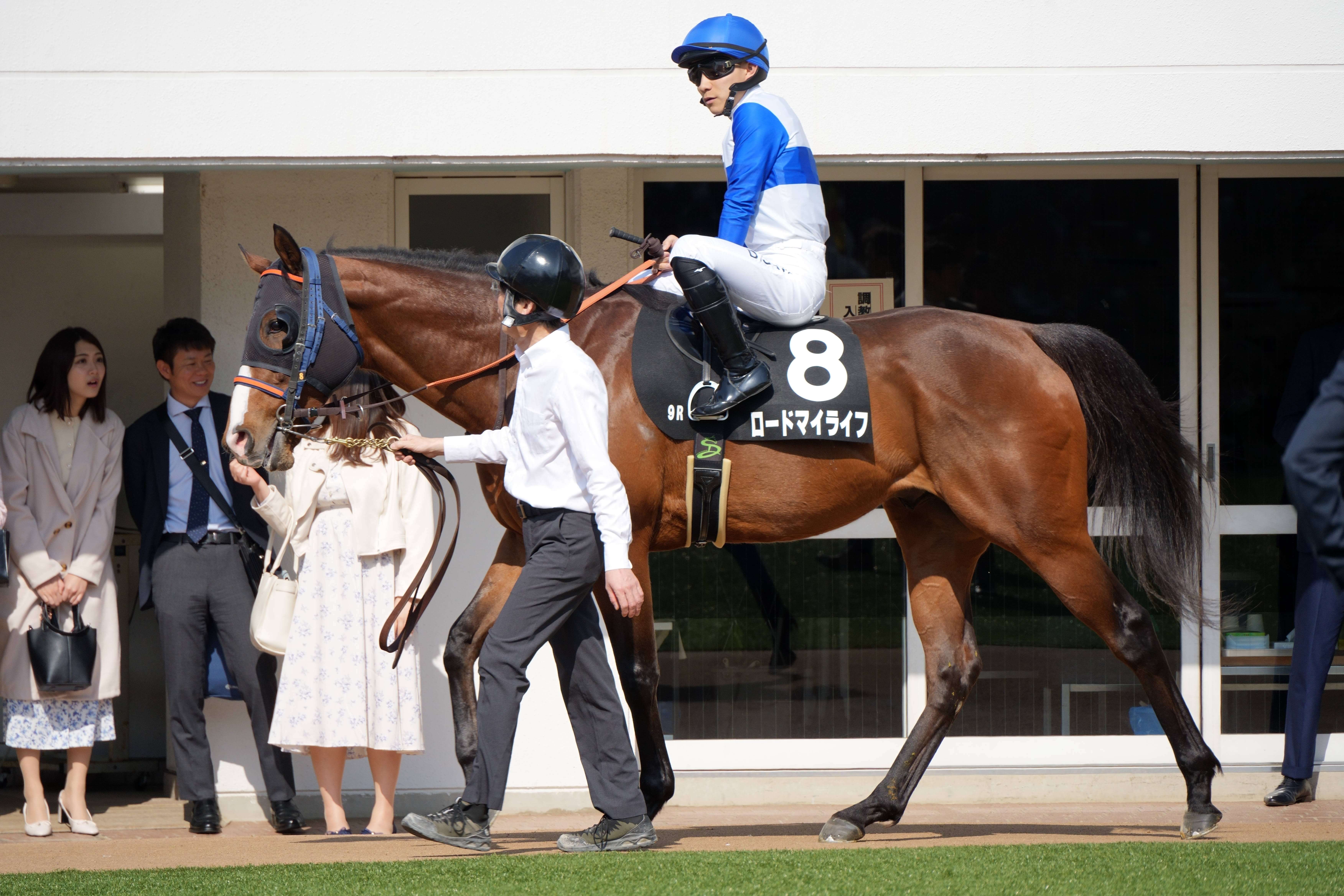 ロードマイライフ