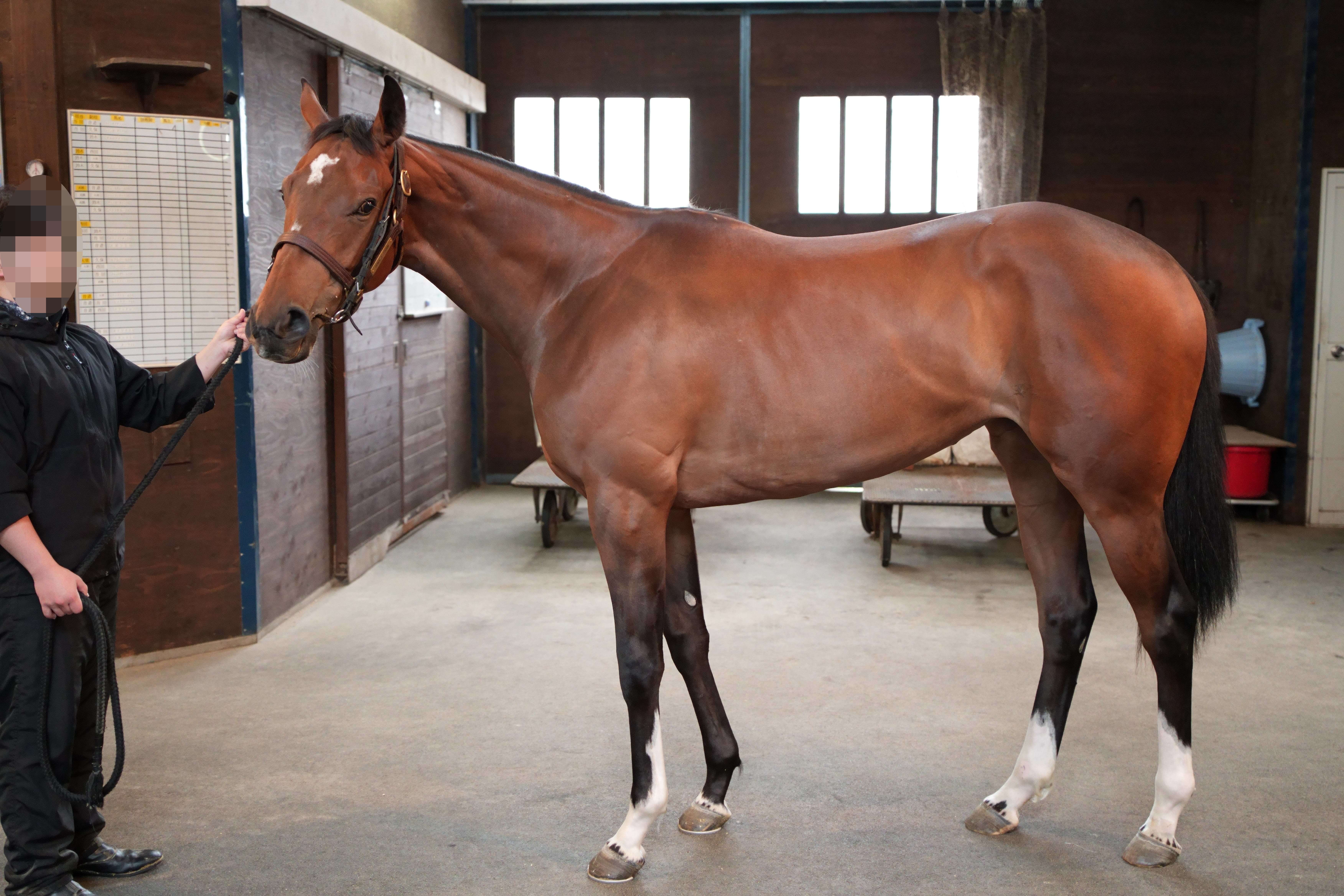 ポワンドゥジュール