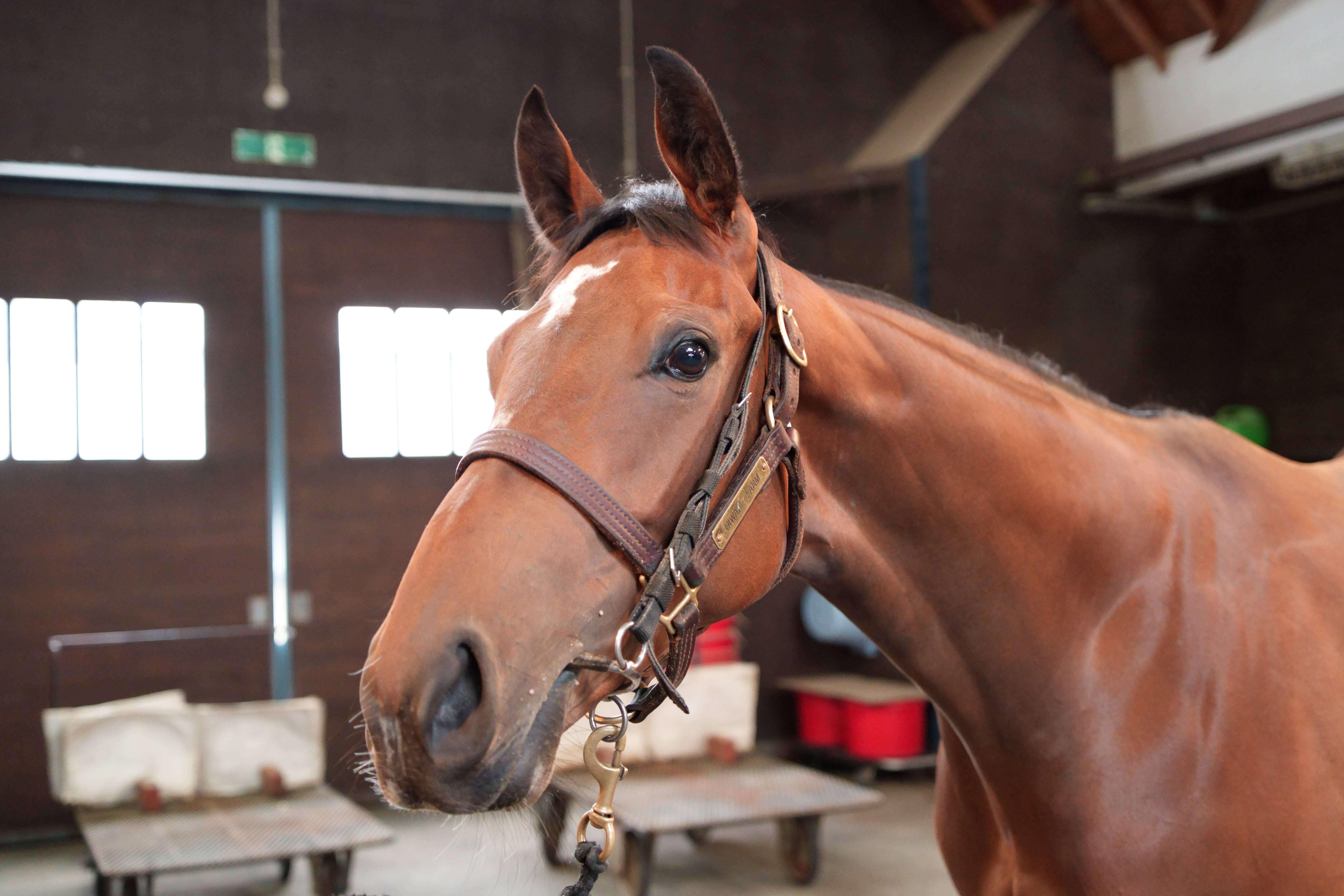 ポワンドゥジュール