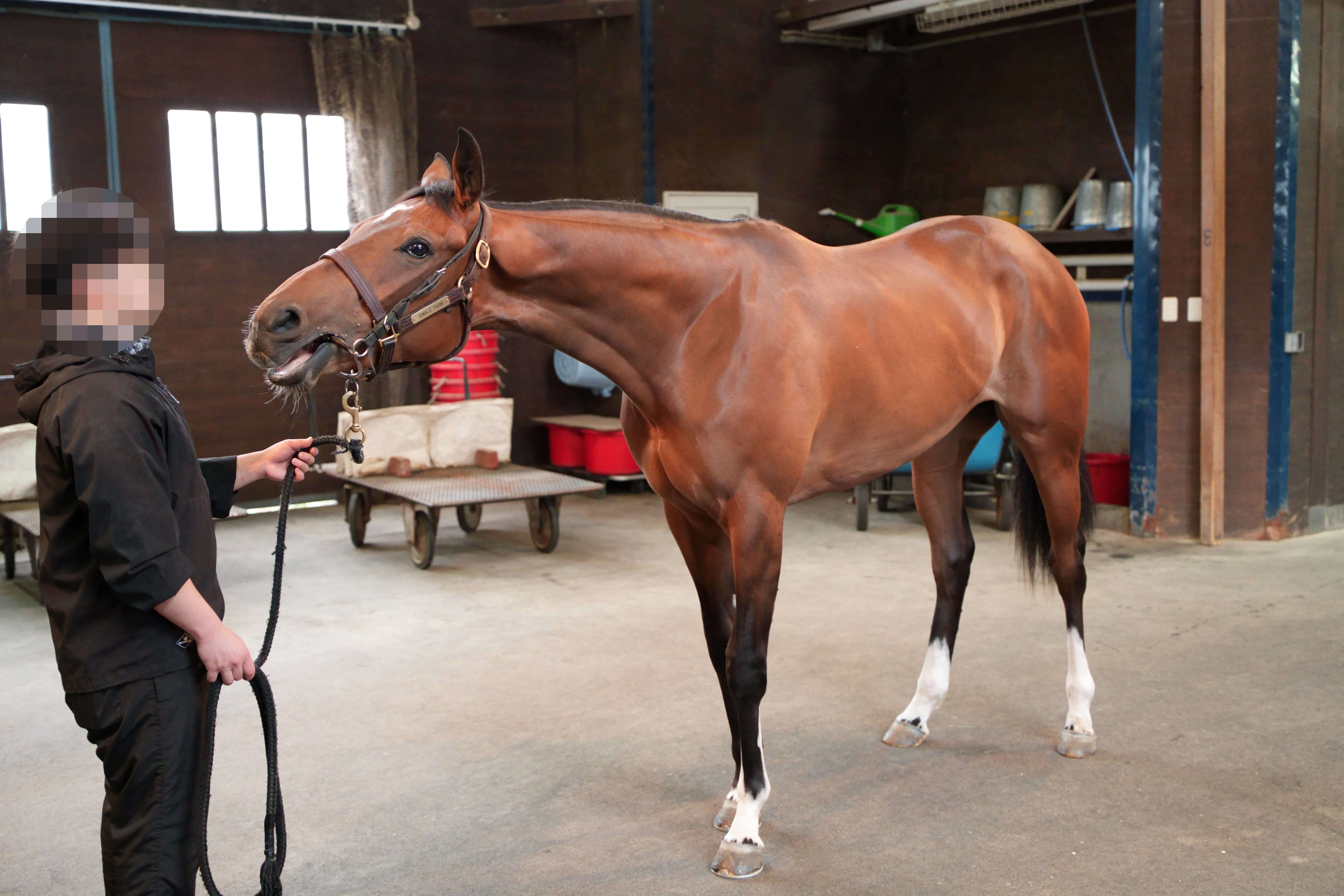 ポワンドゥジュール