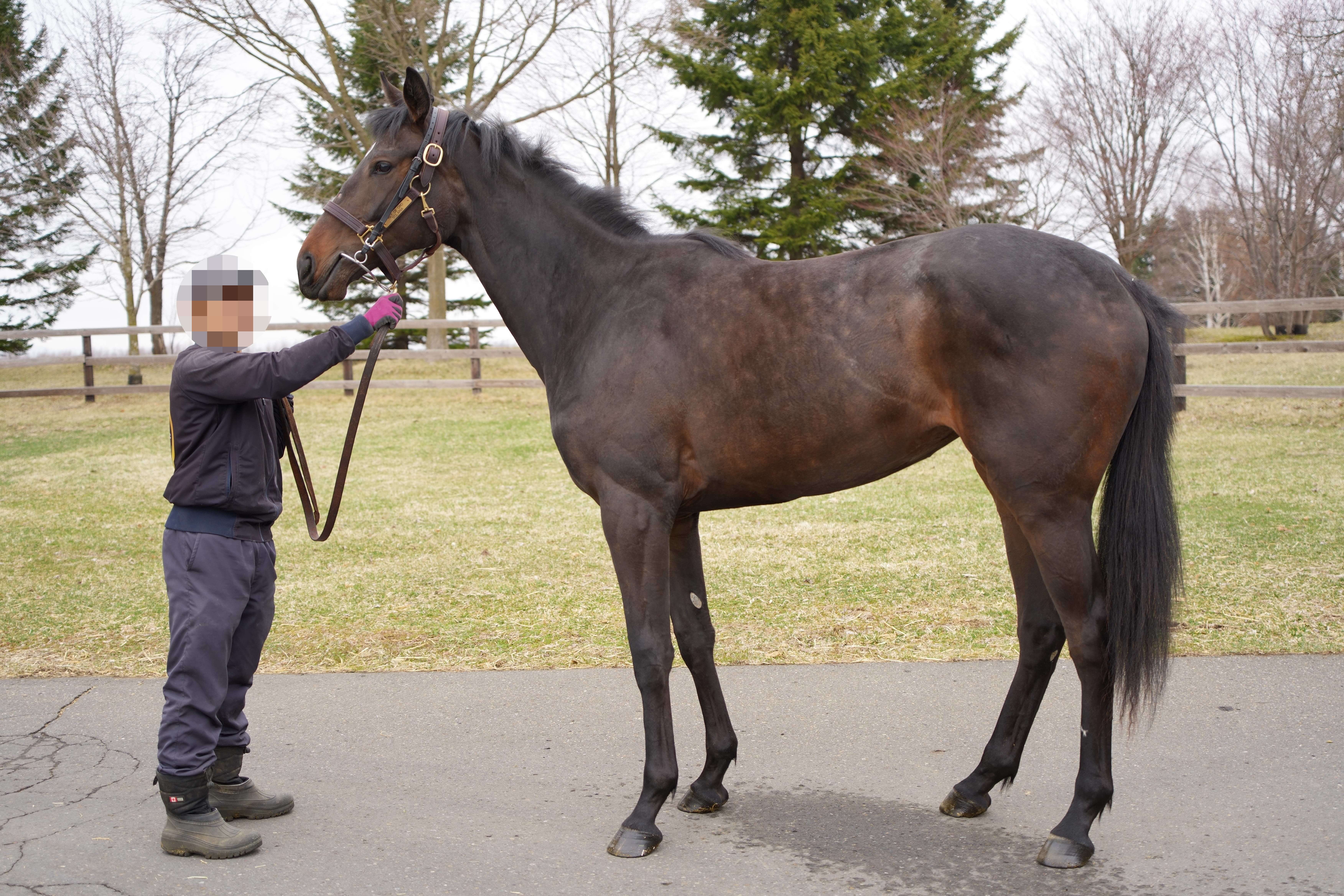 ソノルミネッセンス
