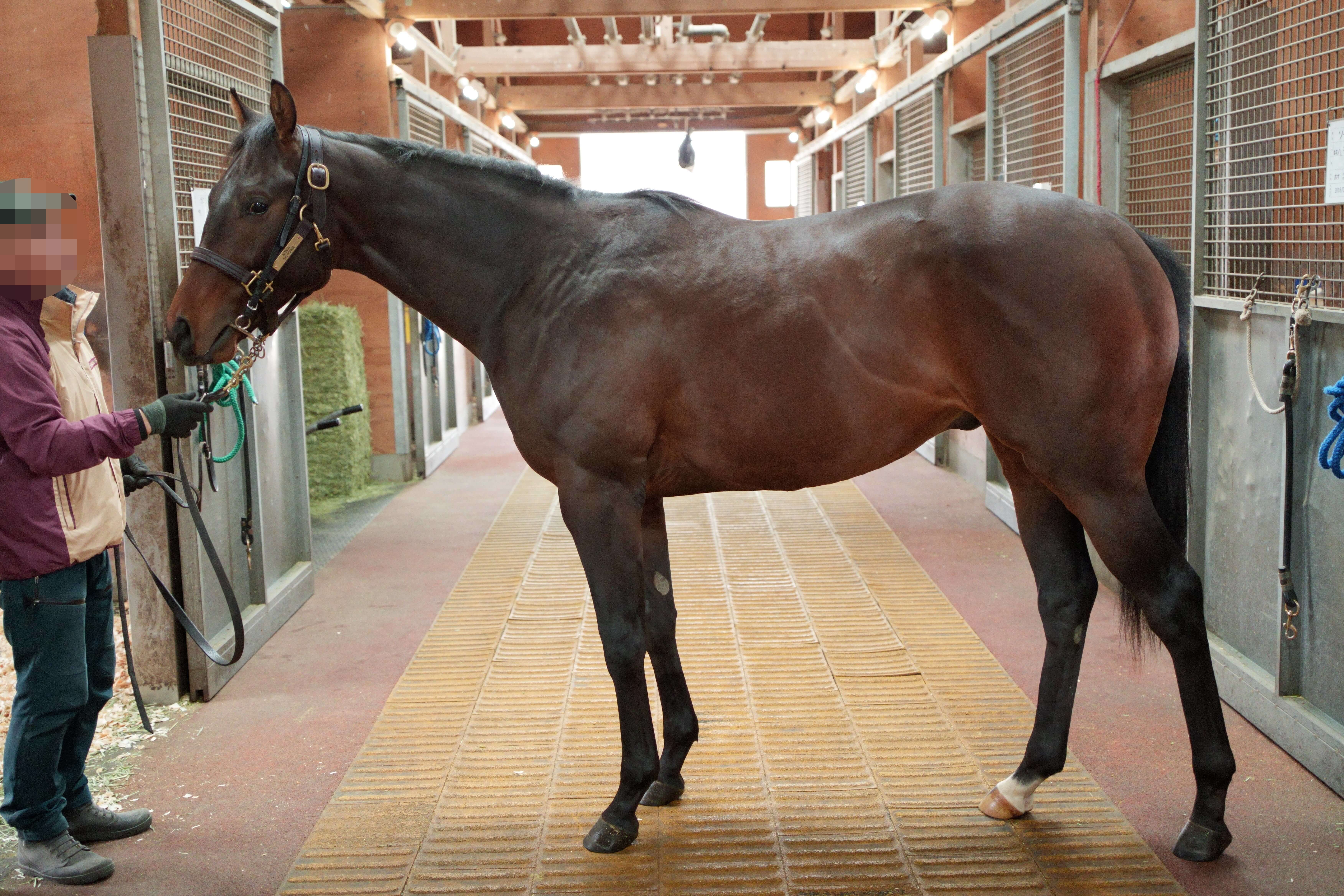 フルークべライト