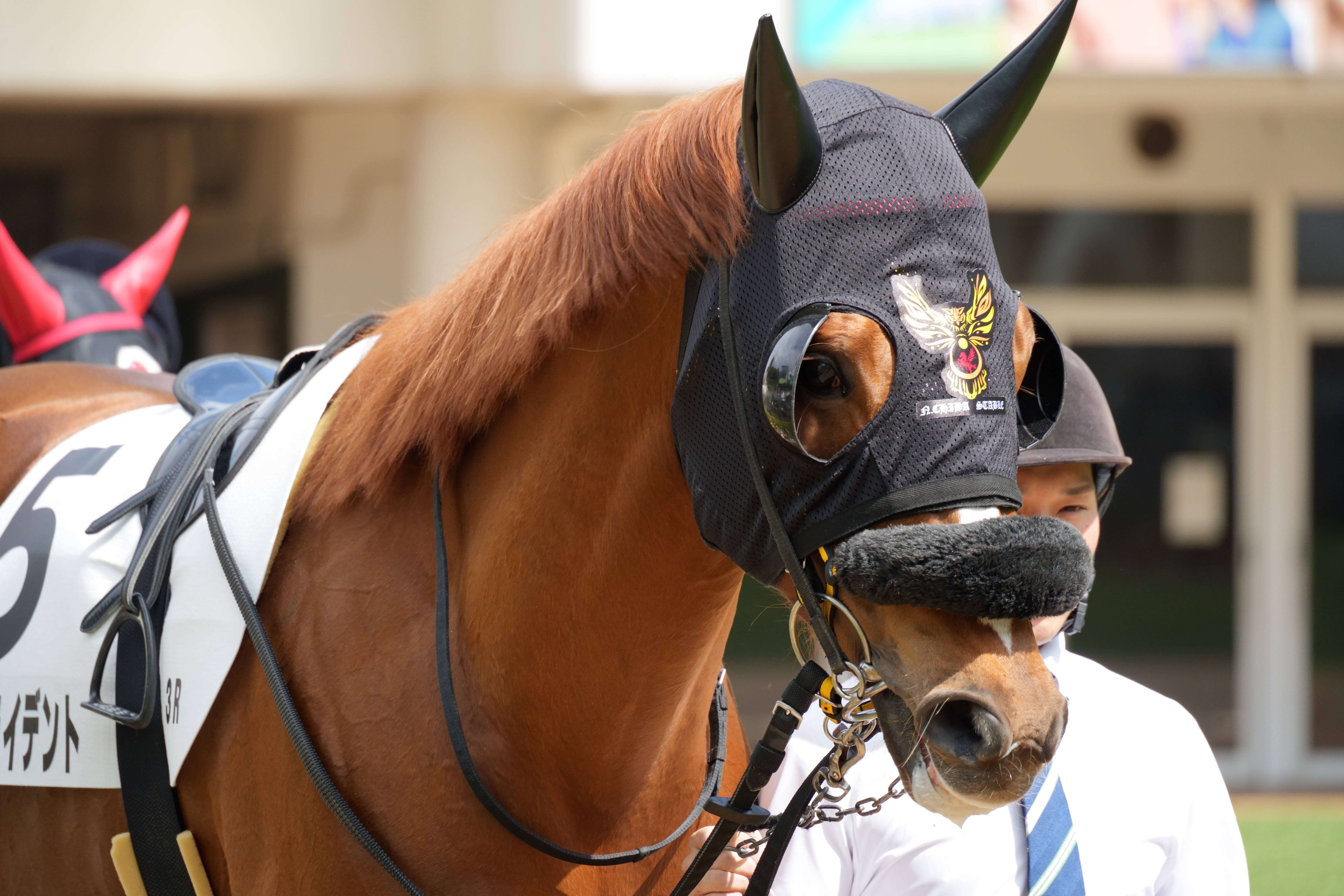 ロードトライデント