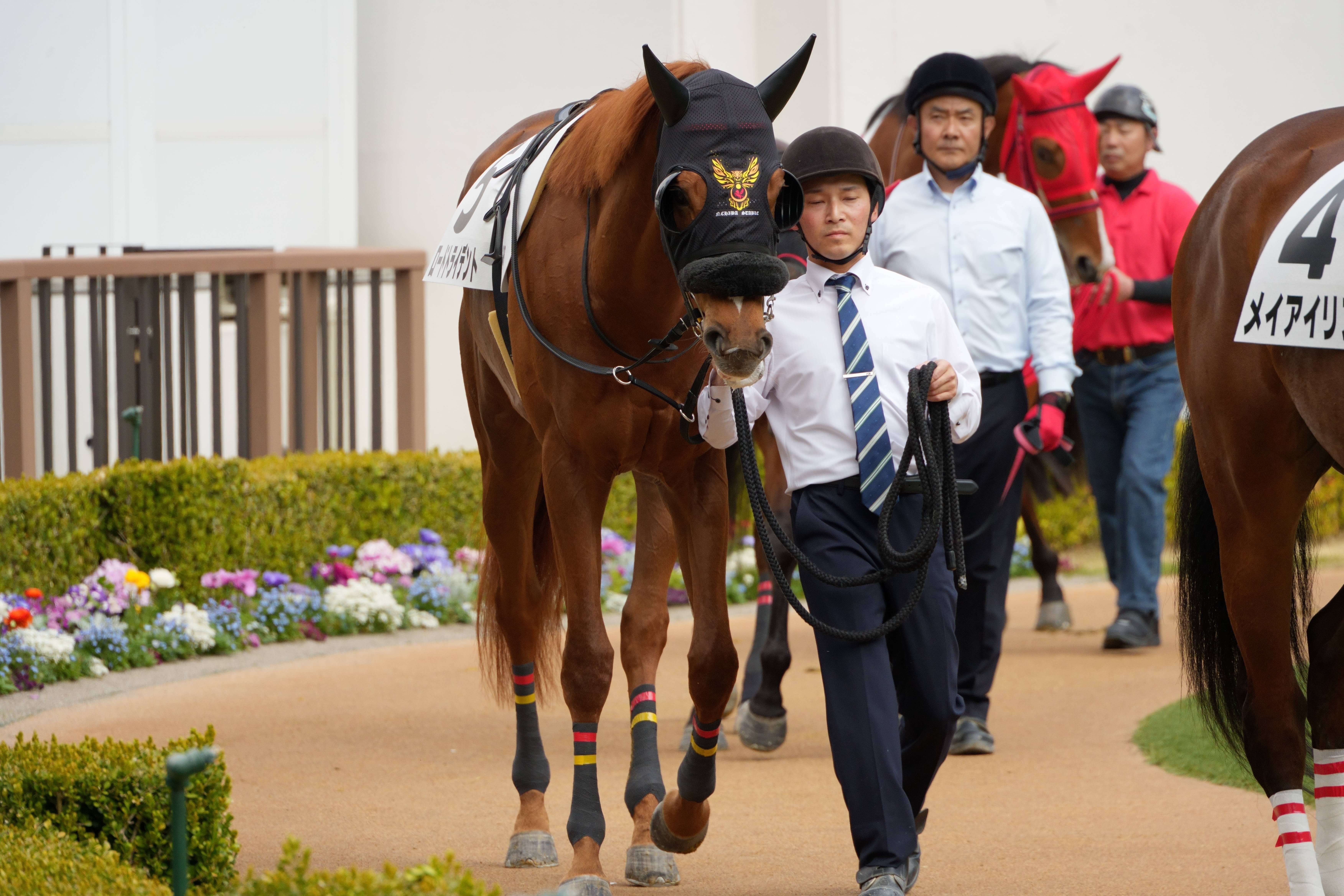 ロードトライデント